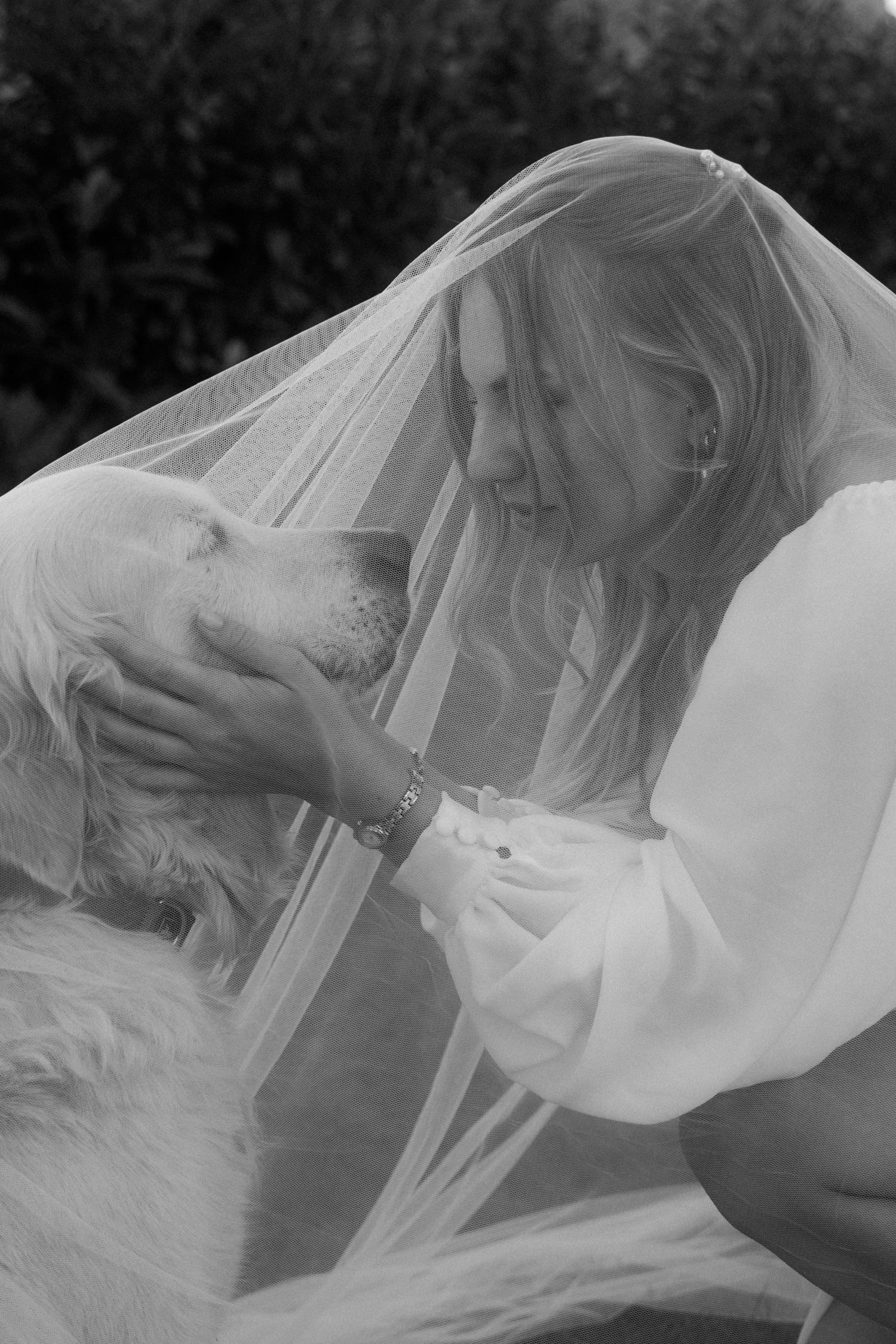 Black and white photo of a bride sharing a tender moment with her golden retriever under her wedding veil.