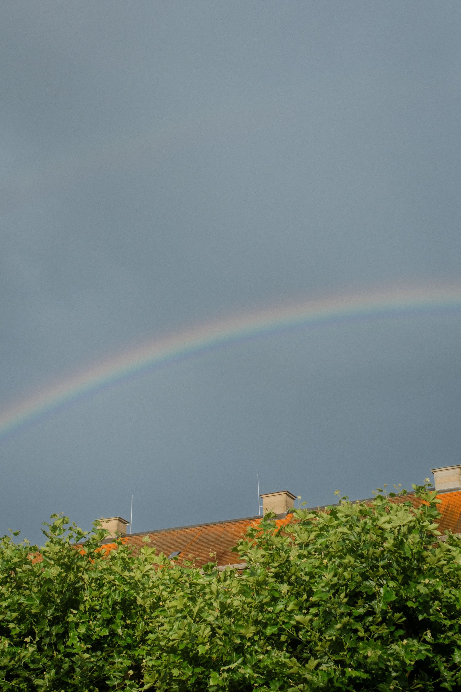 Double rainbow arches over green foliage against a stormy grey sky.