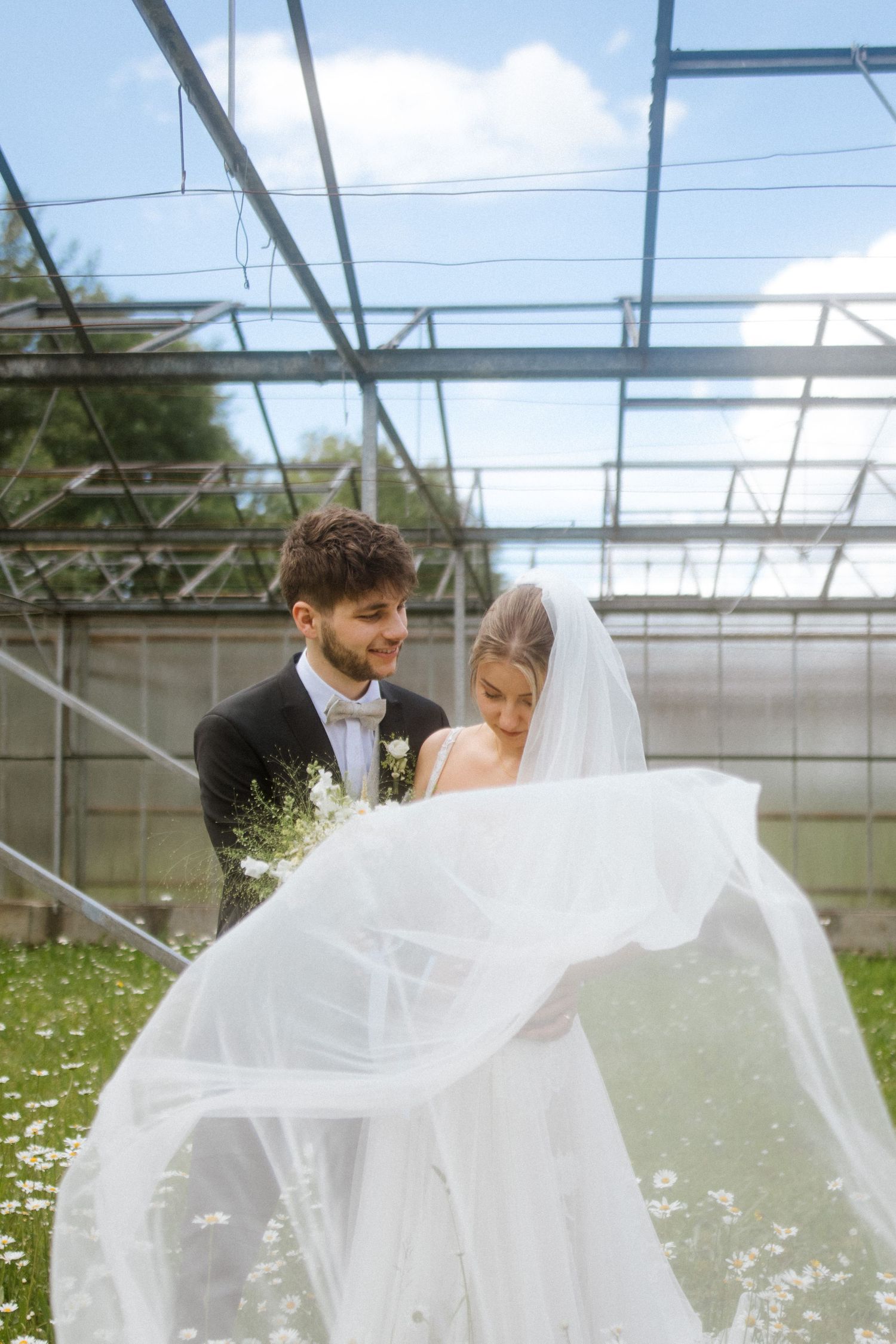 Wedding couple poses as bride's veil flows in the breeze among greenhouse daisies.