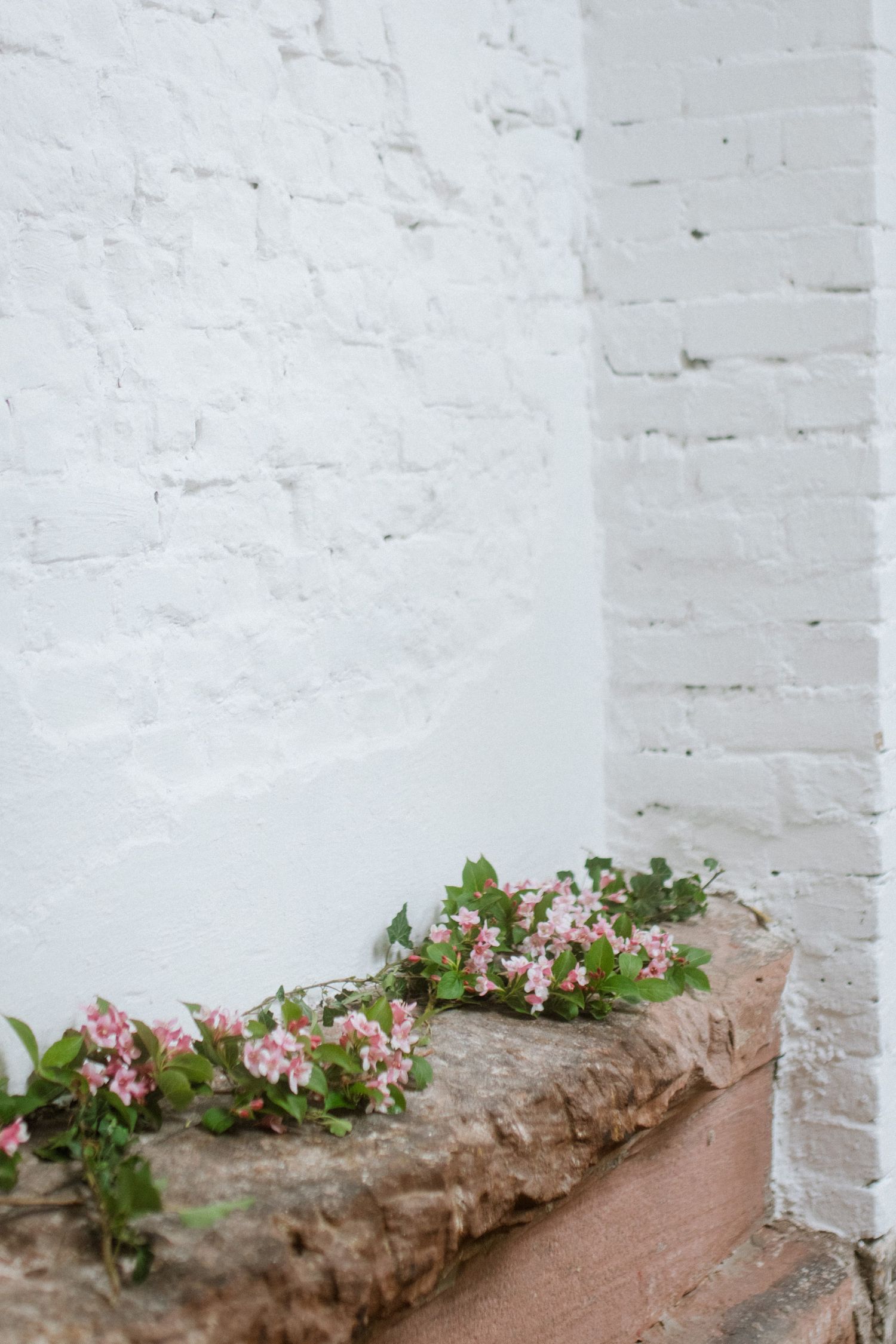 Pink flowers line a brick windowsill against white painted walls.