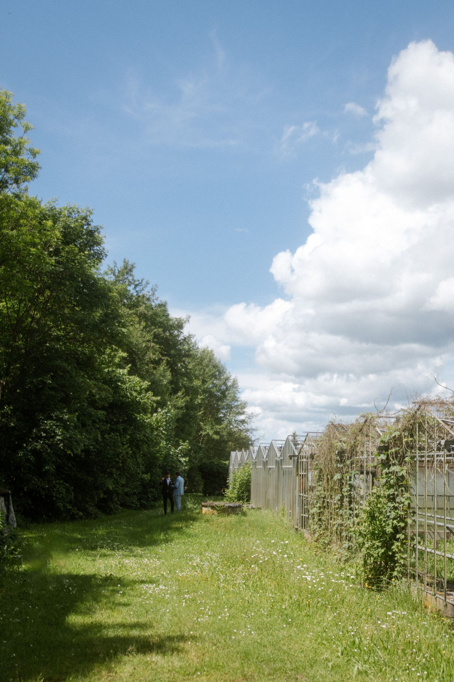 Long pathway beside garden trellises under a bright blue sky with fluffy clouds.