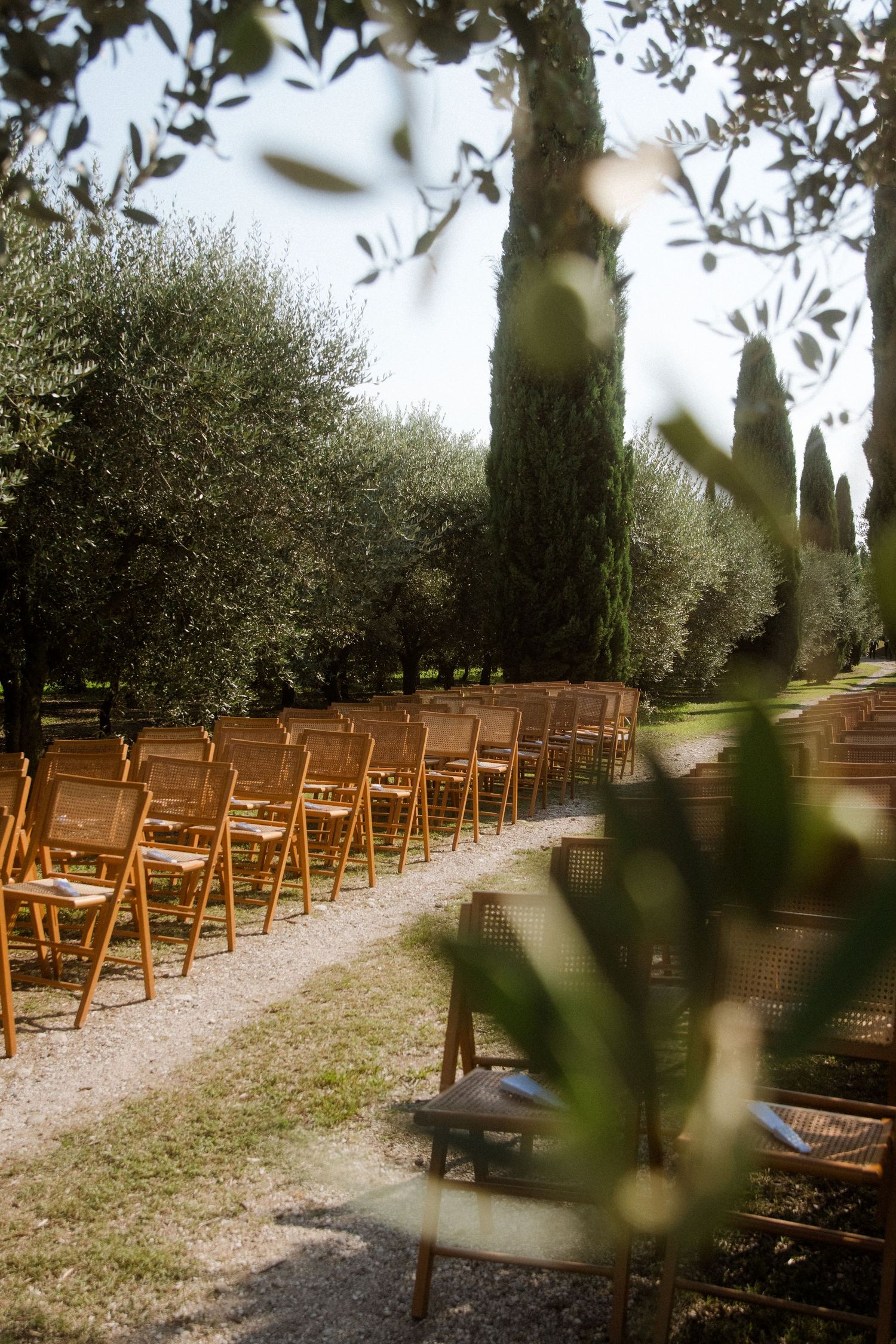 Rustic outdoor ceremony setup with wooden chairs along gravel path surrounded by olive trees.