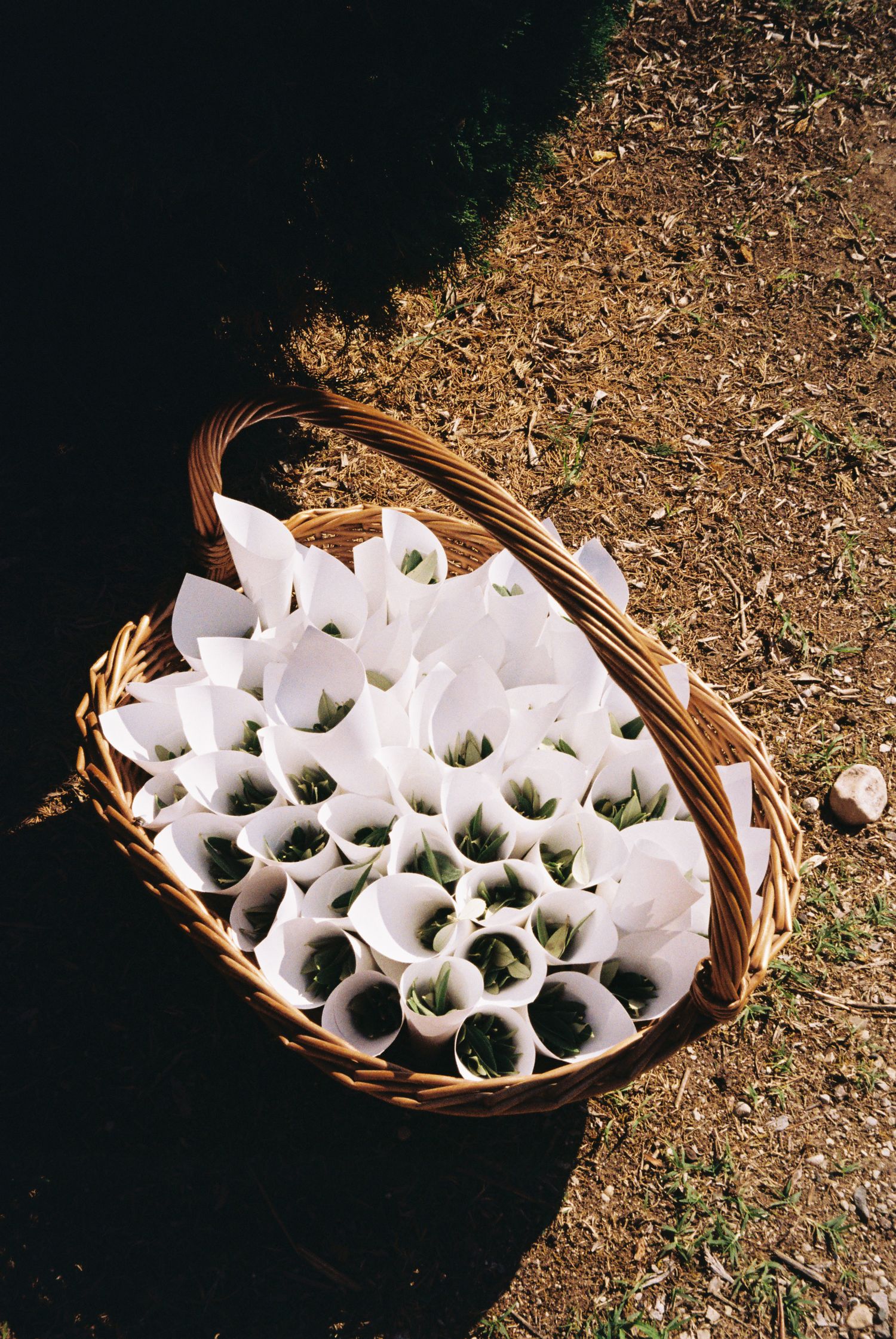 White paper cones arranged in woven basket for wedding confetti or flower petals.