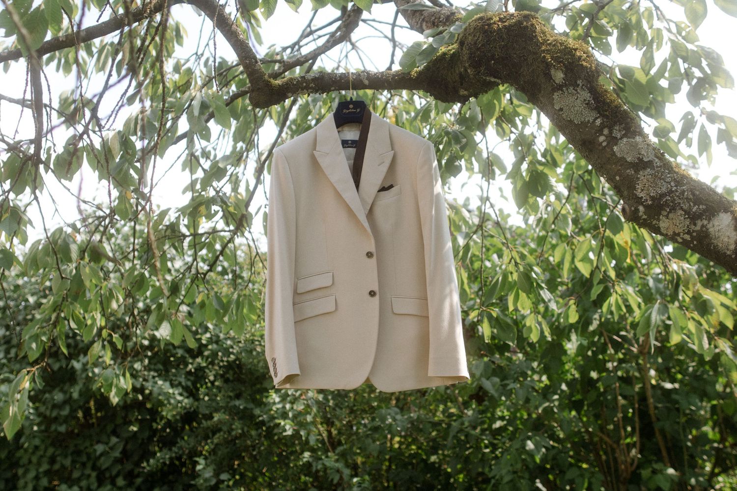 Beige suit jacket hanging from tree branch in natural outdoor setting.