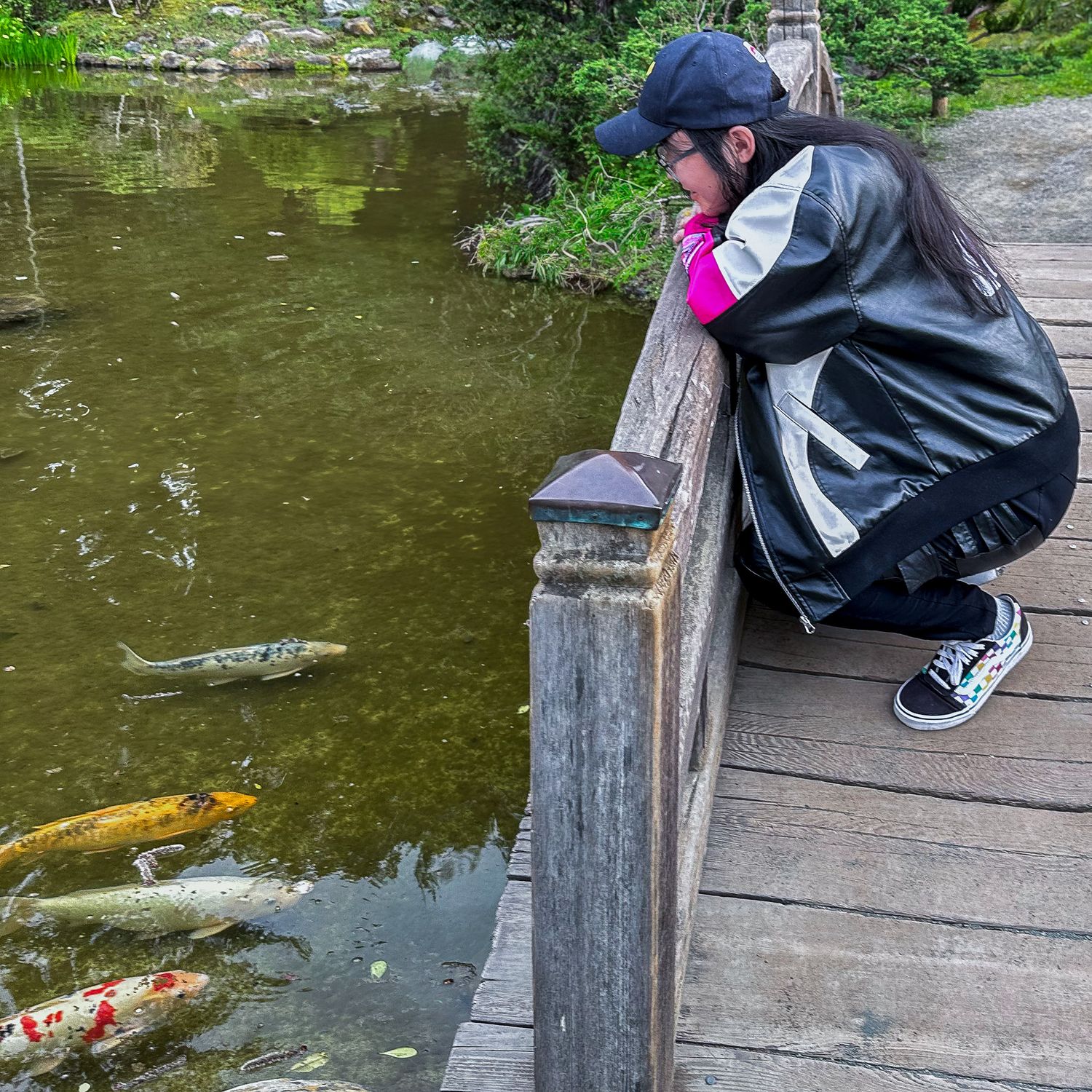 Koi fish and woman stare down in Japanese Garden
