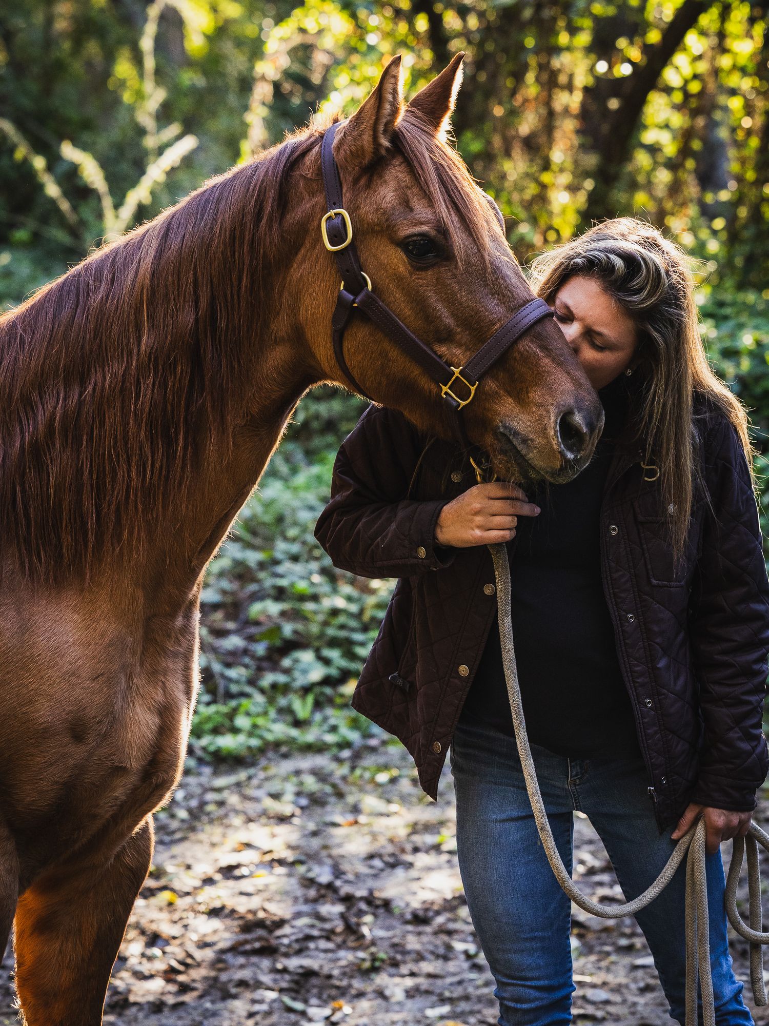 Horse and rider out in the Santa Cruz mountains