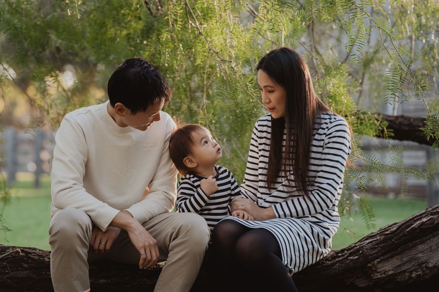 A family sitting together on a fallen tree trunk in a park with matching striped outfits during golden hour.