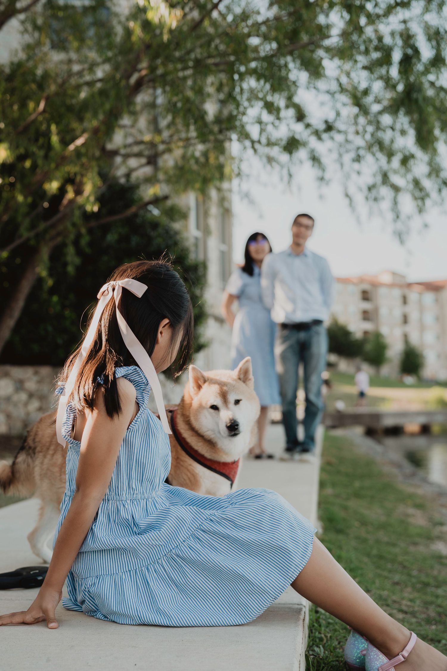 A Shiba Inu dog sits with people in a park setting with trees and buildings in the background.