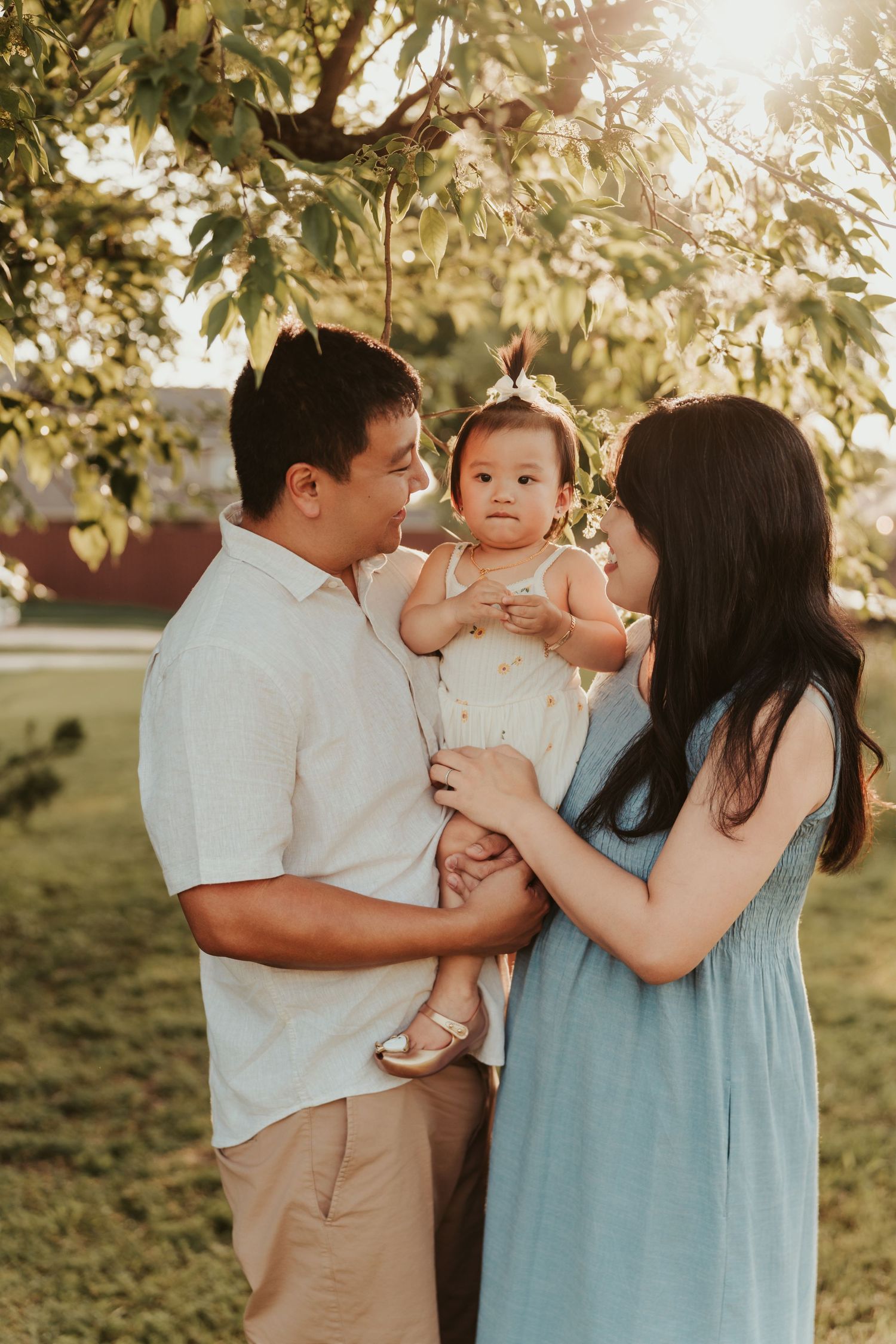 A family poses together outdoors during golden hour beneath a tree, sharing a tender moment in natural lighting.