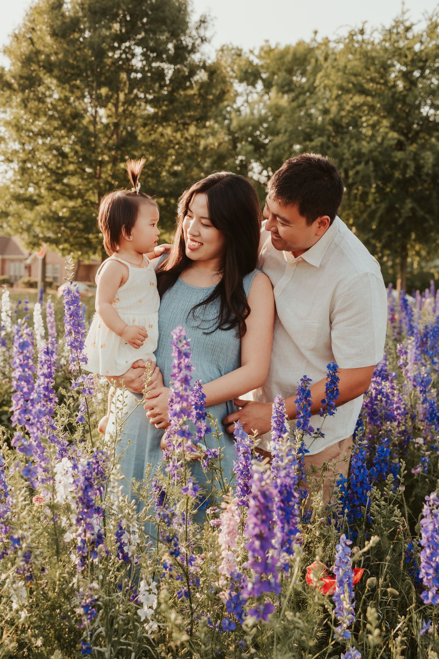Asian family with toddler posing in purple wildflower field at golden hour, warm summer outdoor portrait.