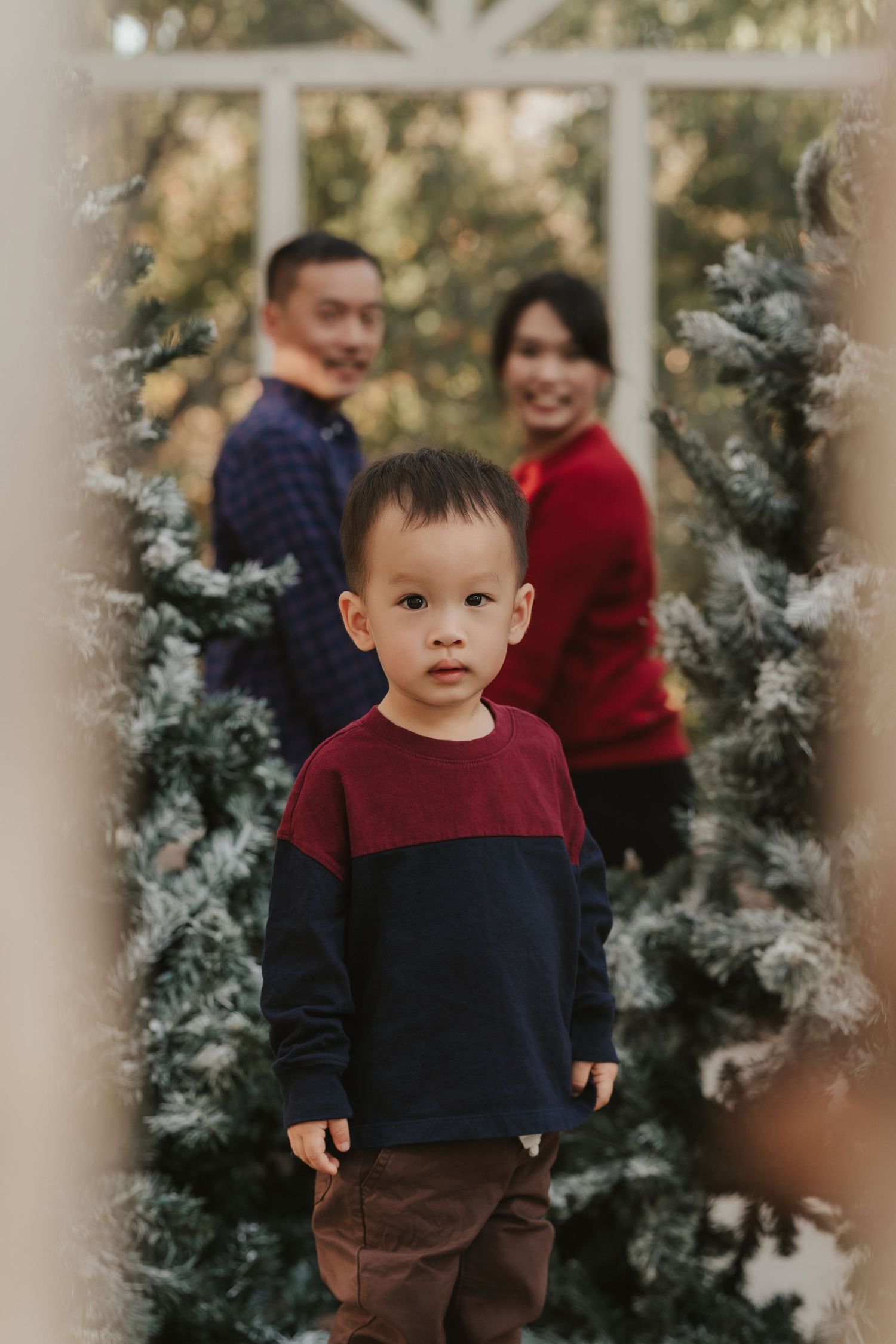 A young child in a burgundy and navy sweater stands in front of snow-frosted evergreen branches during a holiday photo session.