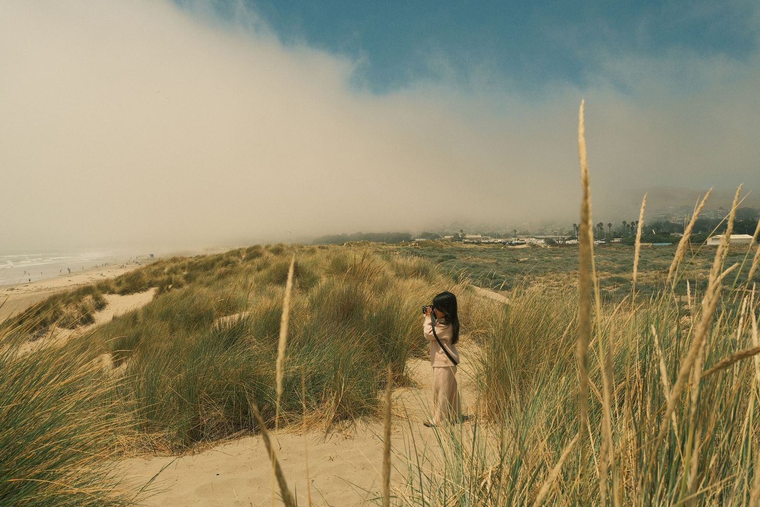 Person sitting among grass-covered sand dunes on a misty beach with ocean and city skyline in background.