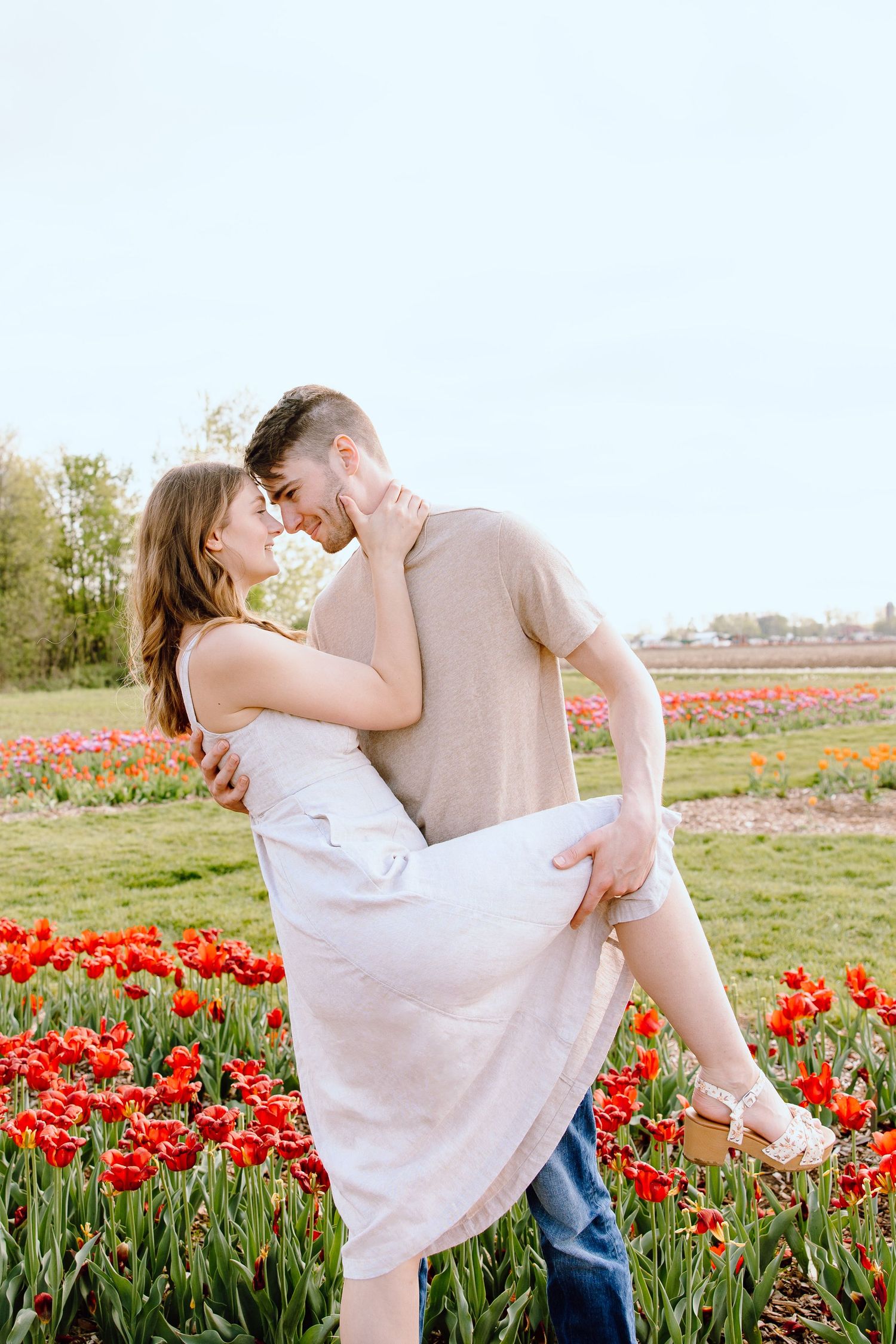 Engaged couple dipping at DeBuck's tulip field spring engagement session in Belleville, MI