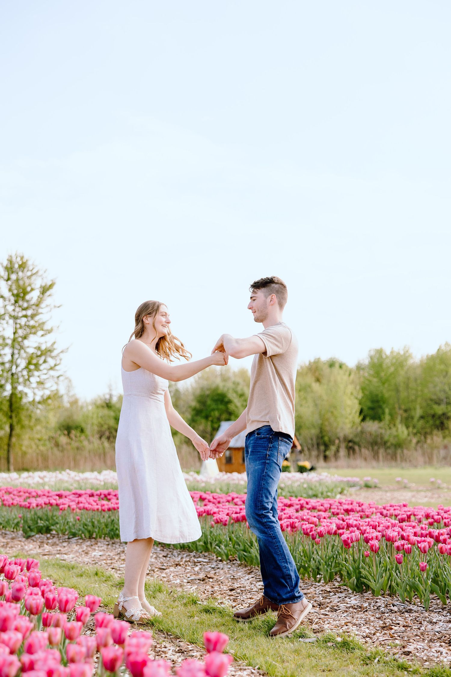 Engaged couple twirling at DeBuck's tulip field spring engagement session in Belleville, MI