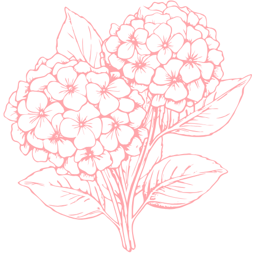 Graphic of hydrangea bouquet