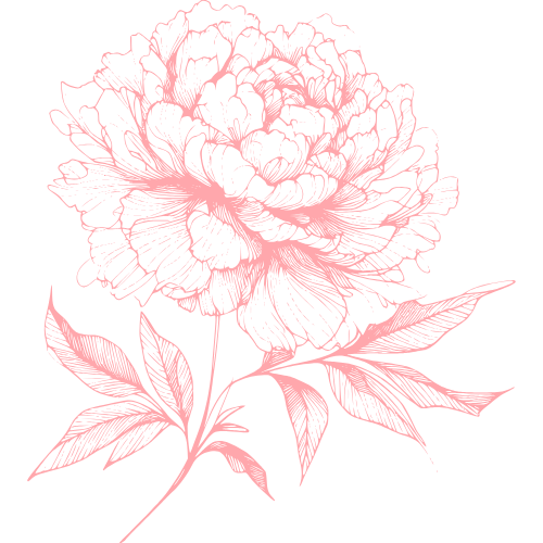 Graphic of single peony