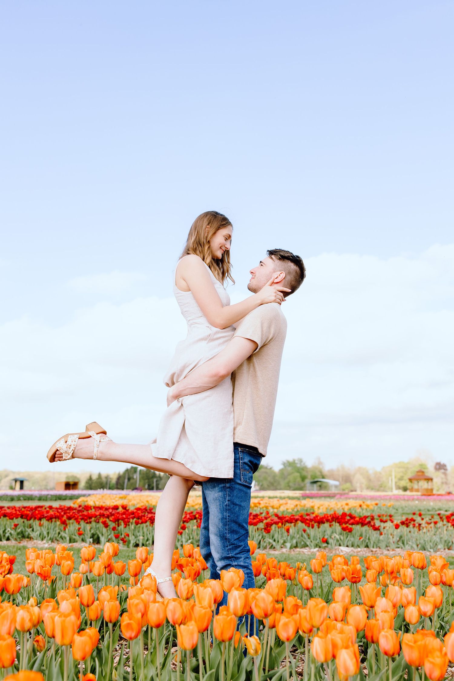 Man lifting woman at DeBuck's tulip field engagement session in Belleville, MI
Engaged couple sitting on cabin at DeBuck's tulip field