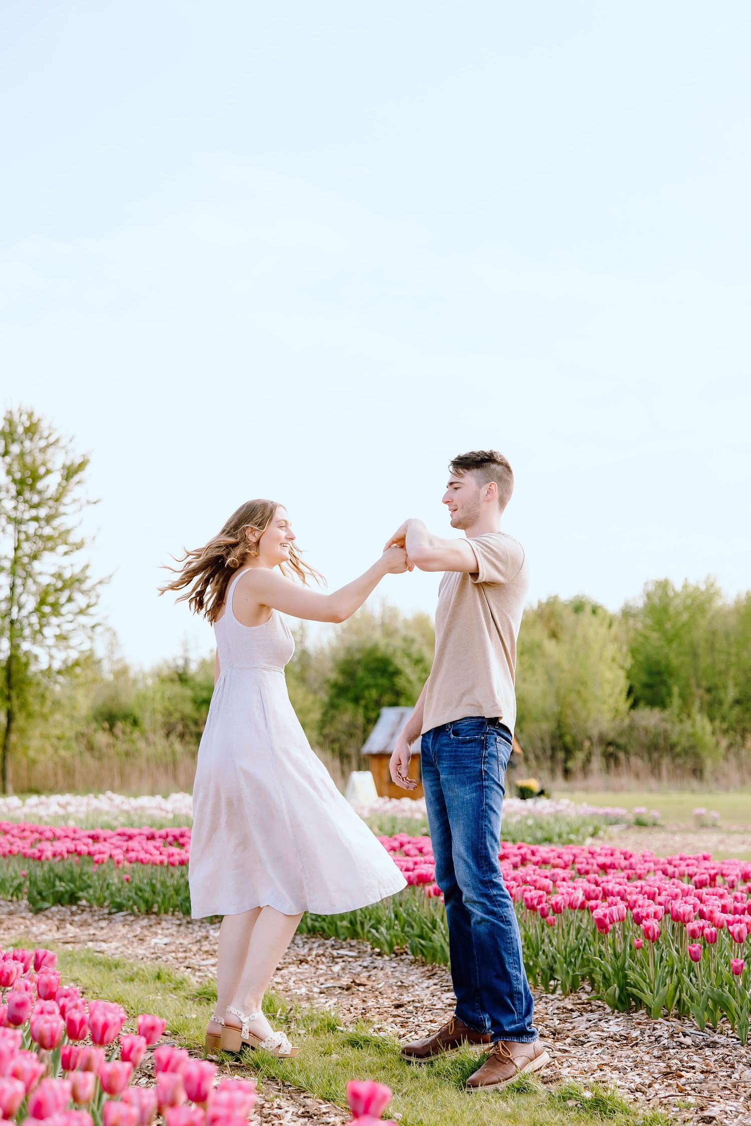 Engaged couple twirling at DeBuck's tulip field spring engagement session in Belleville, MI