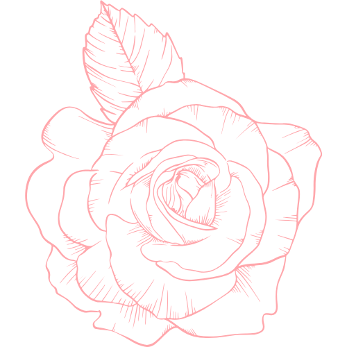 Graphic of single rose