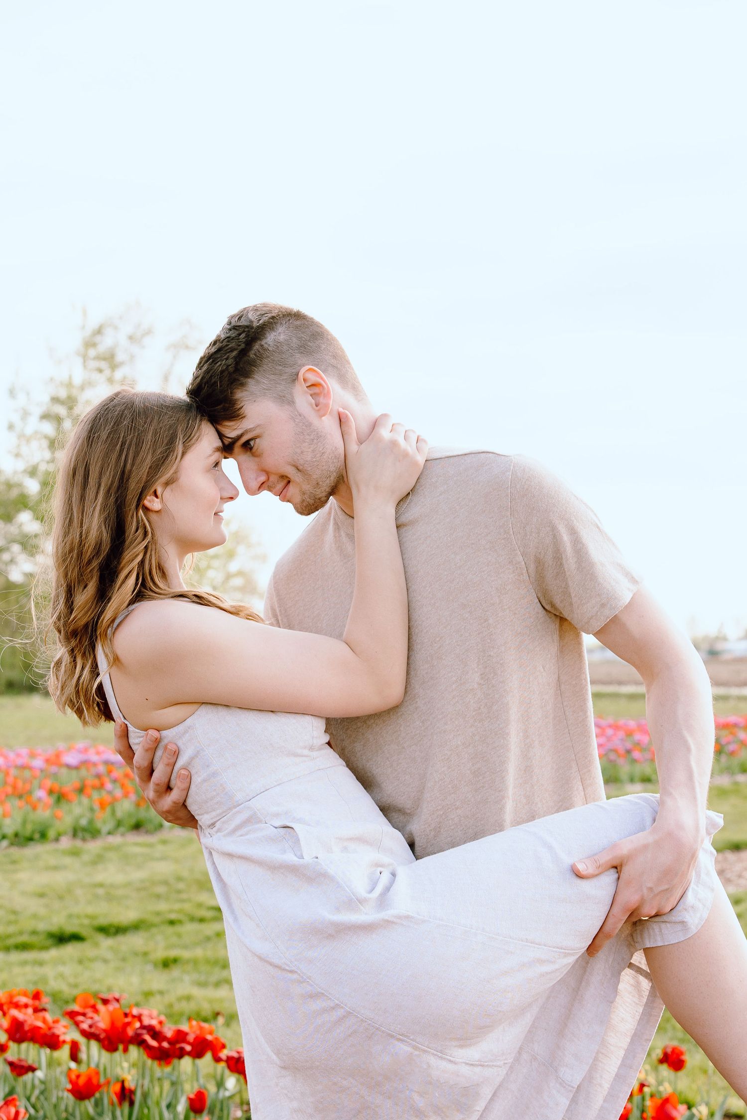 Engaged couple dipping at DeBuck's tulip field spring engagement session in Belleville, MI