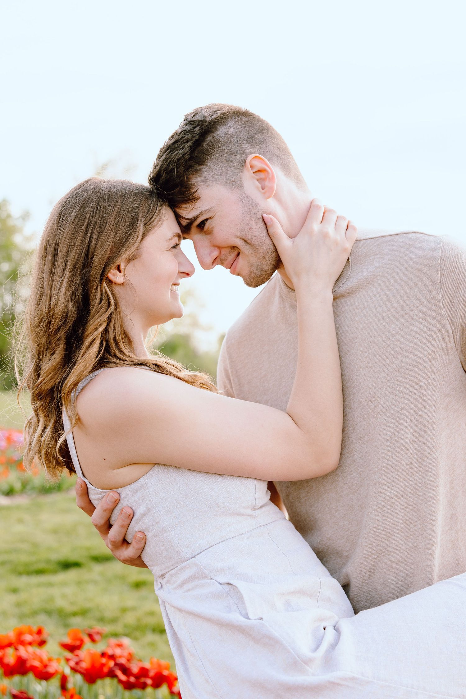 Engaged couple dipping at DeBuck's tulip field spring engagement session in Belleville, MI