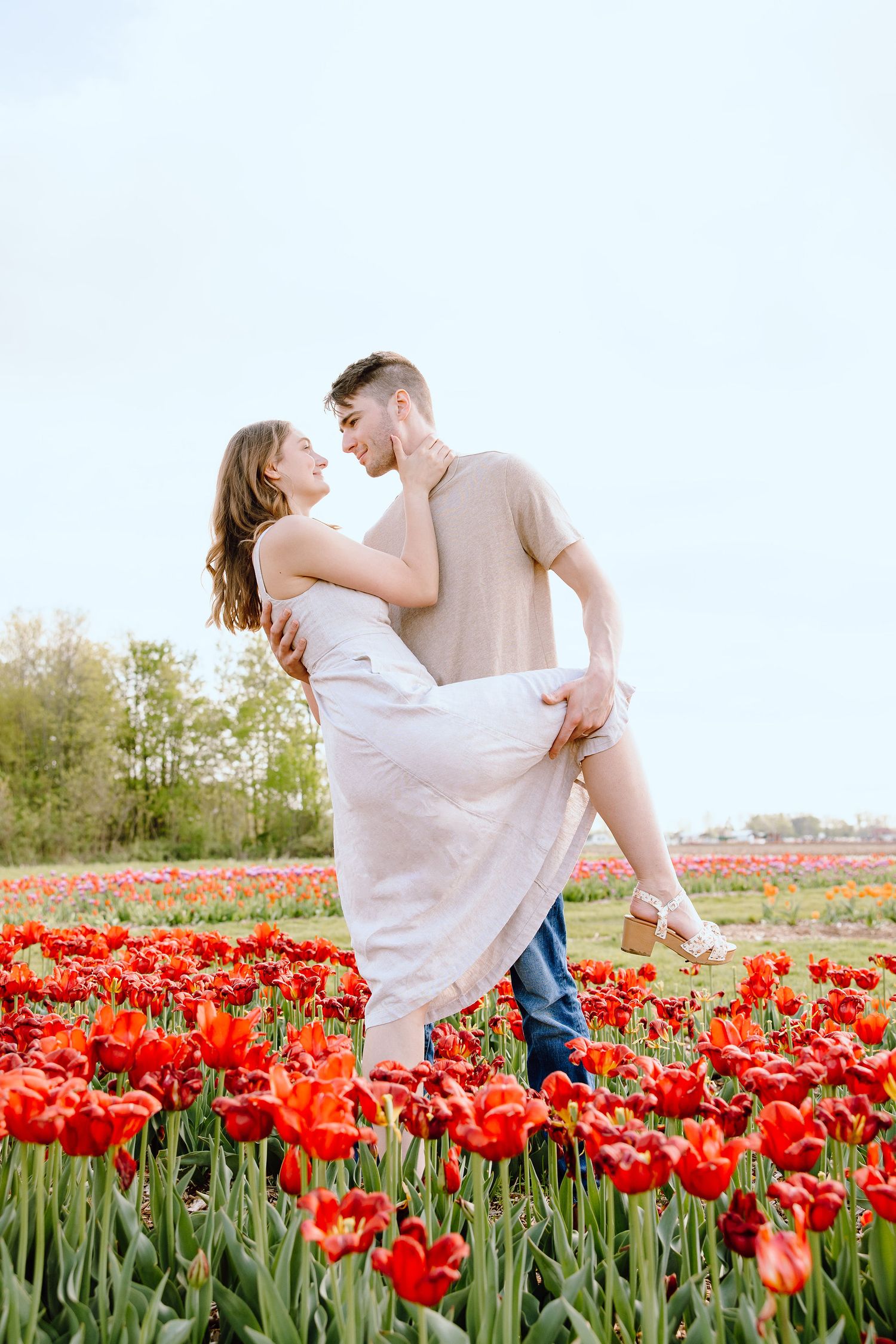 Engaged couple dipping at DeBuck's tulip field spring engagement session in Belleville, MI