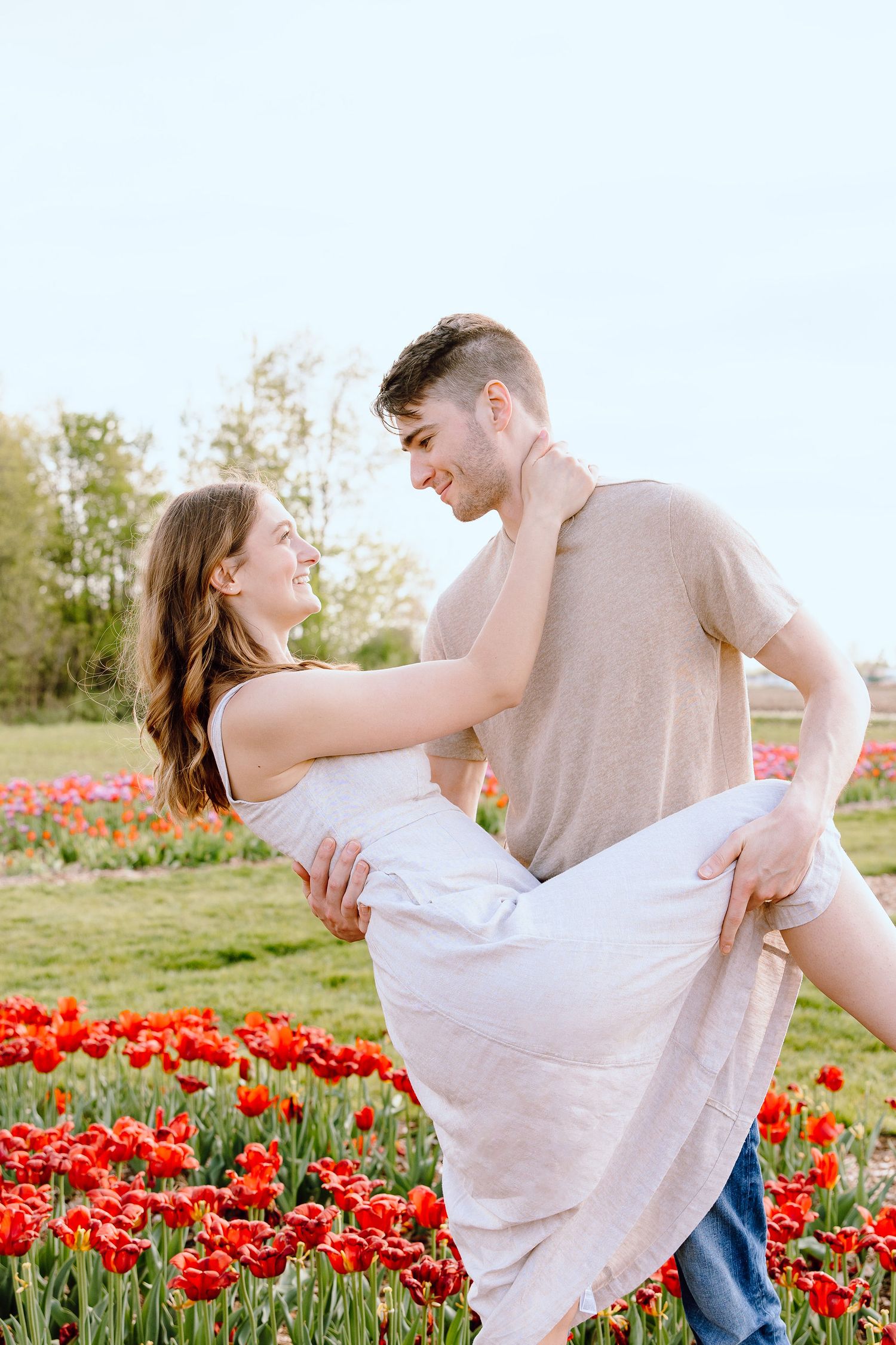 Engaged couple dipping at DeBuck's tulip field spring engagement session in Belleville, MI