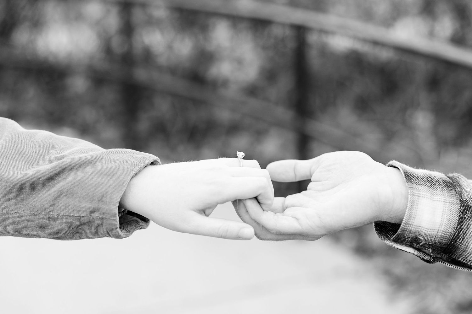 Detail photo of engagement ring at Nichols Arboretum in Ann Arbor, MI