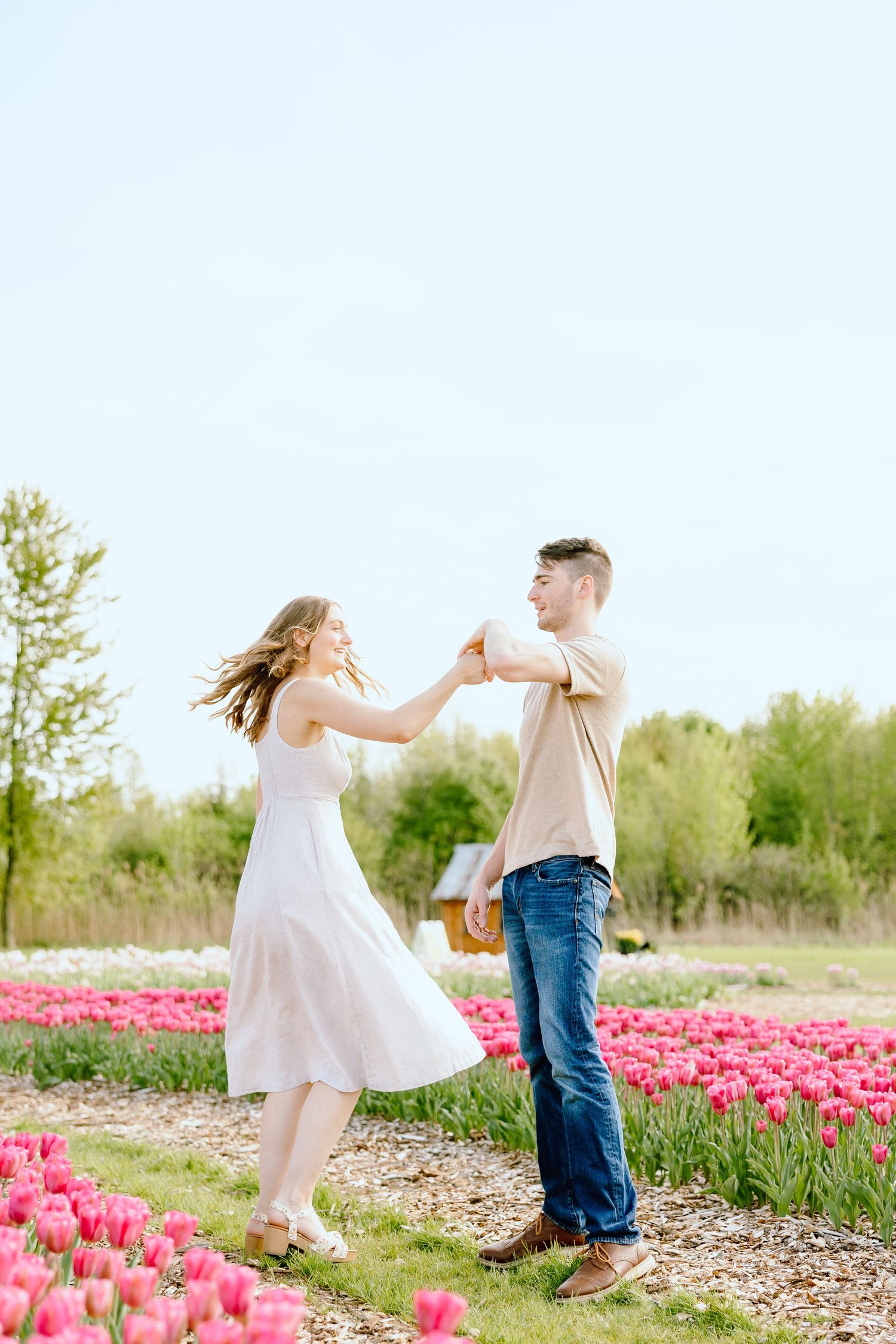 Engaged couple twirling in tulip field in Belleville, MI