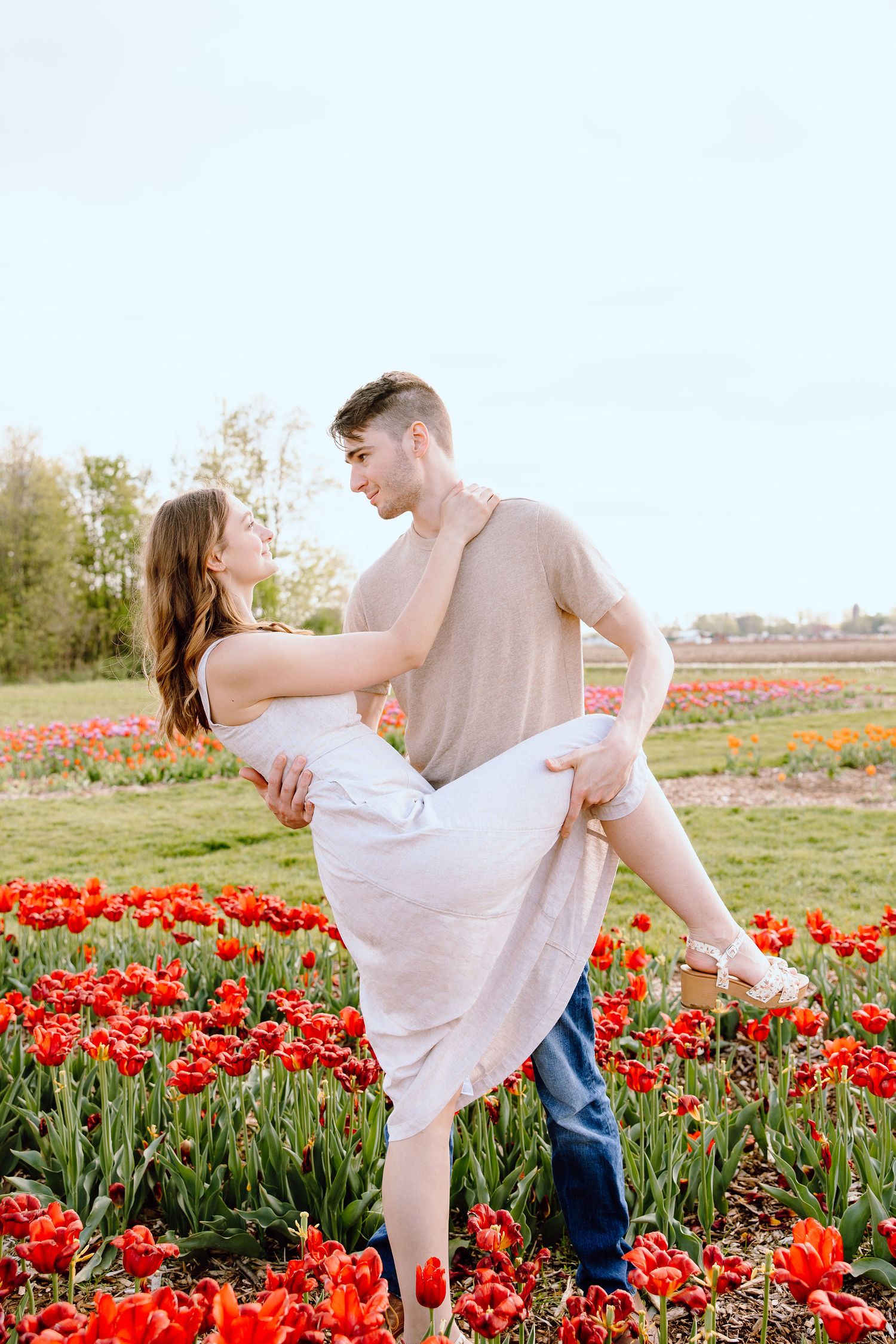 Engaged couple dipping at DeBuck's tulip field spring engagement session in Belleville, MI