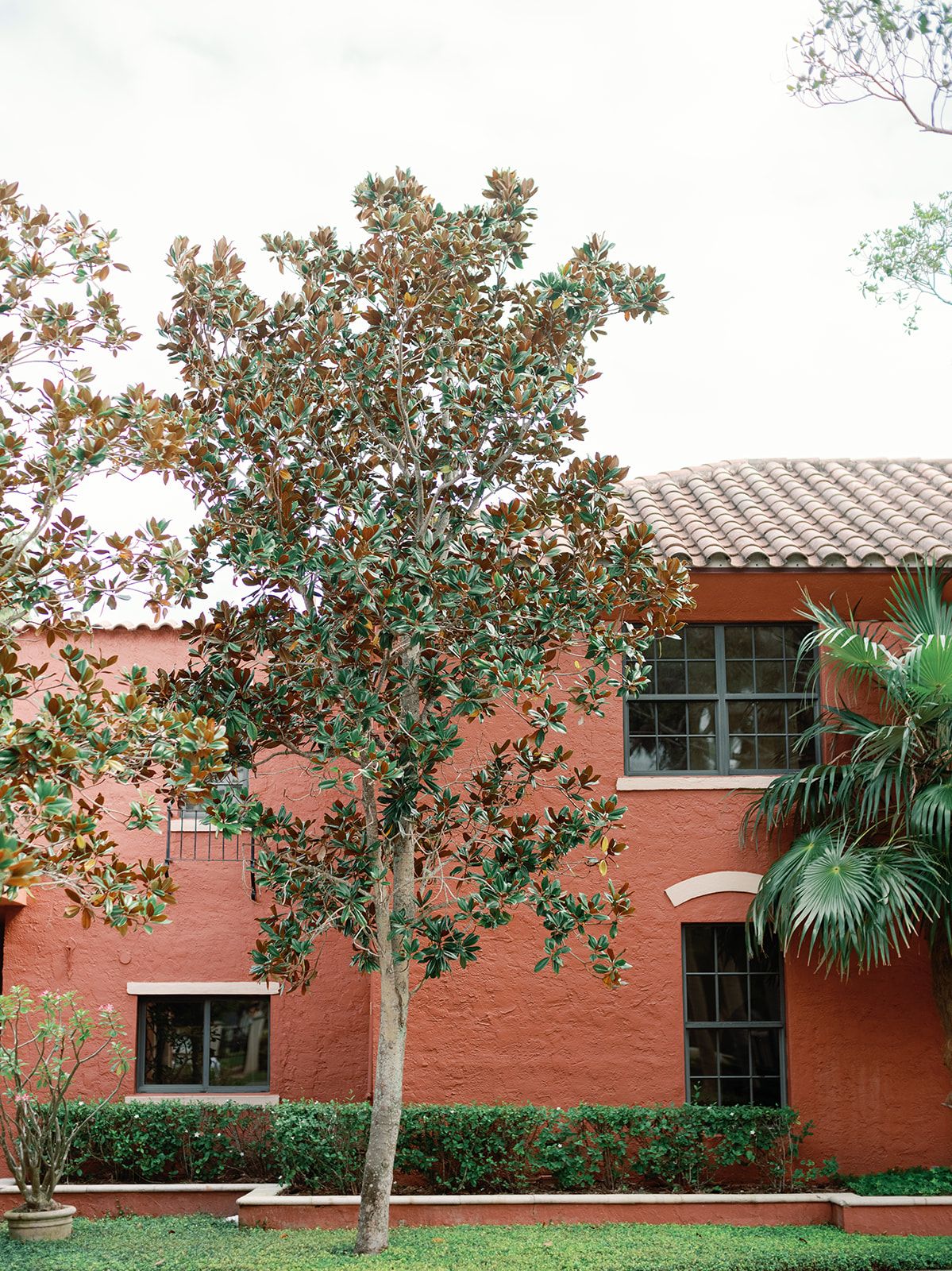 A coral-colored Spanish colonial building with a large magnolia tree in the foreground.