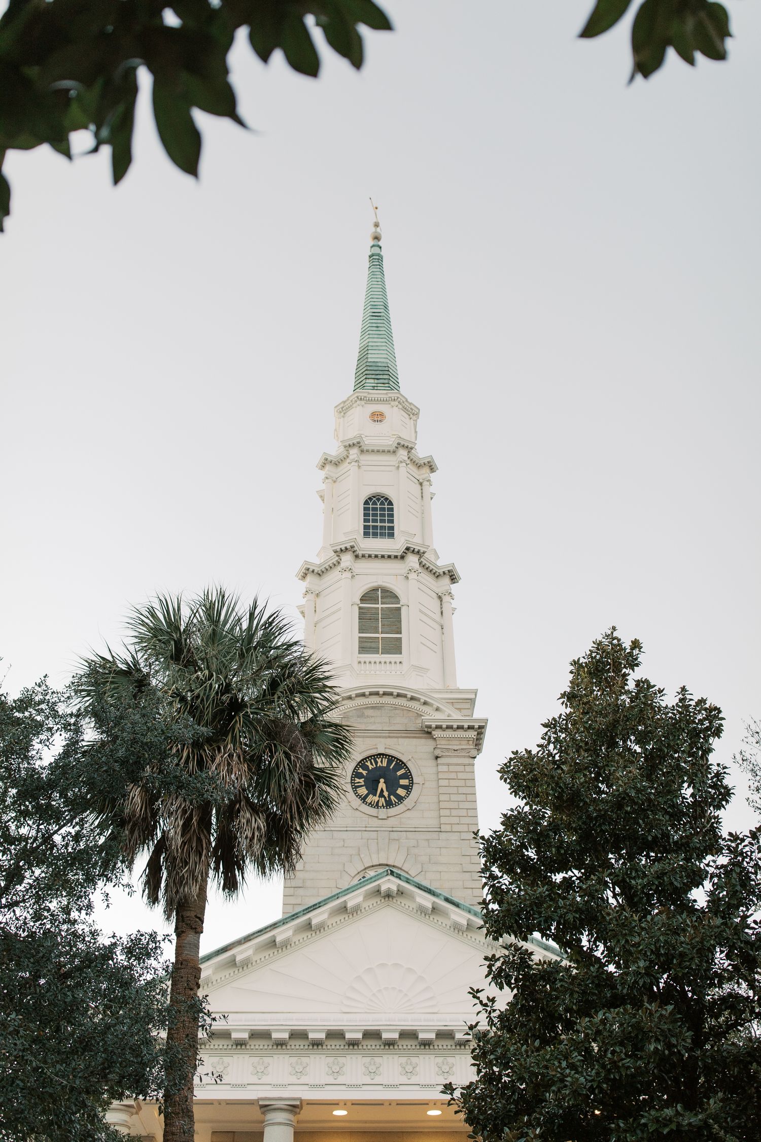 White church steeple with green spire rises against cloudy sky surrounded by palm trees.