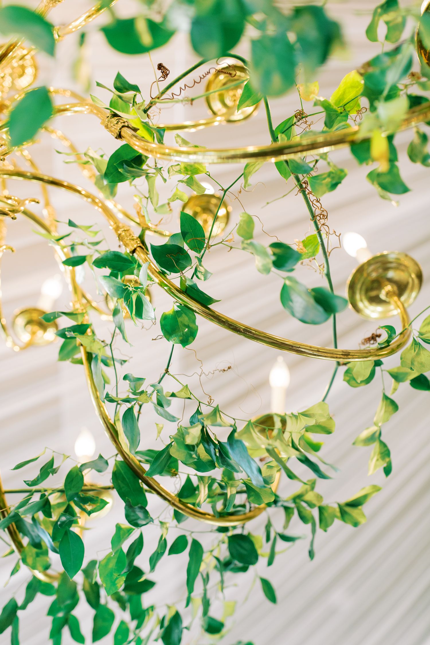 Delicate green vine decorations with gold accents create an elegant ceiling display.