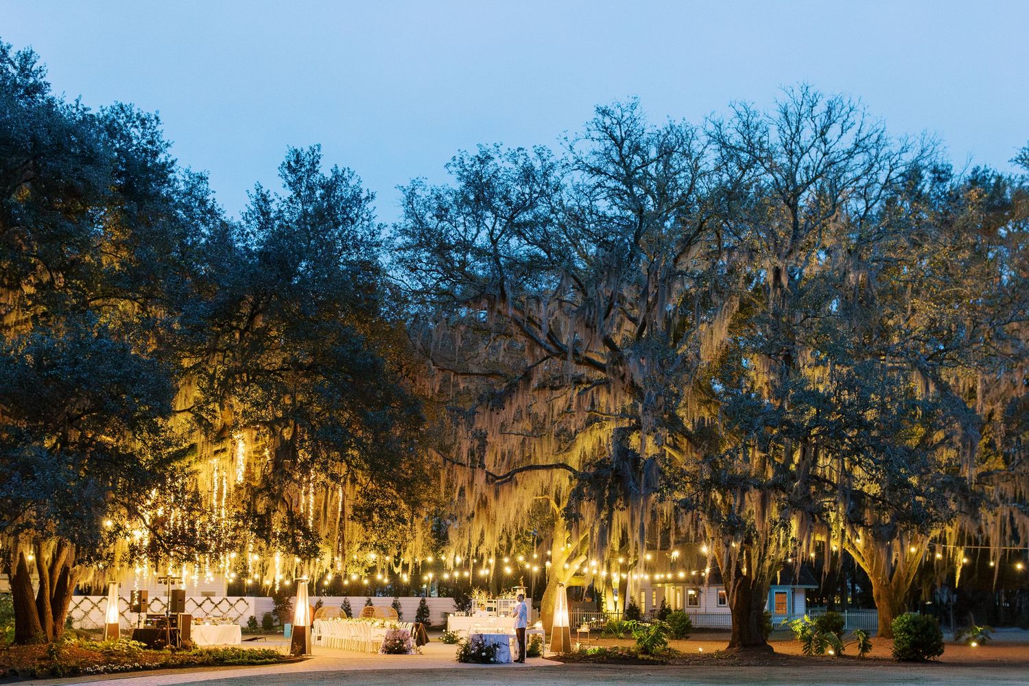 Evening reception under oak trees with Spanish moss and romantic lighting.
