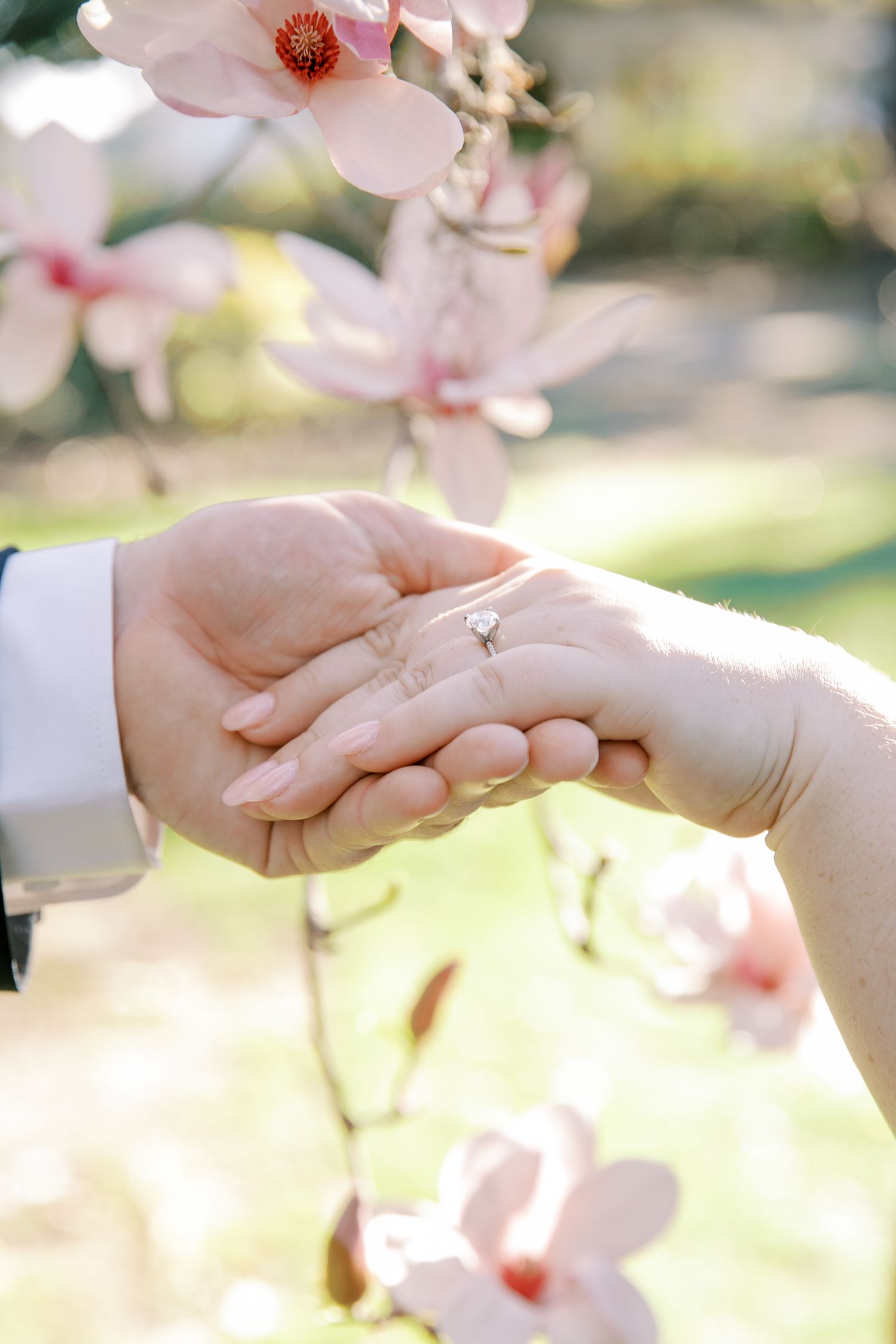 Two hands hold together wearing wedding rings under delicate pink cherry blossoms in soft sunlight.