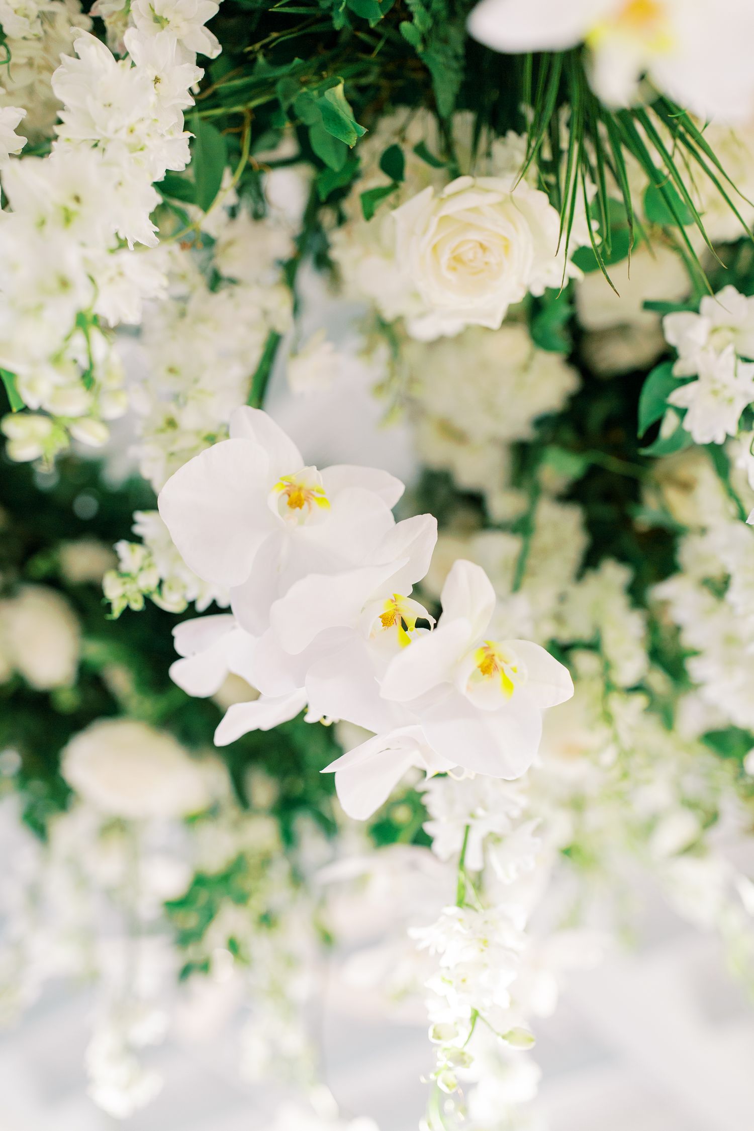 Elegant white floral arrangement featuring roses and orchids with soft greenery.