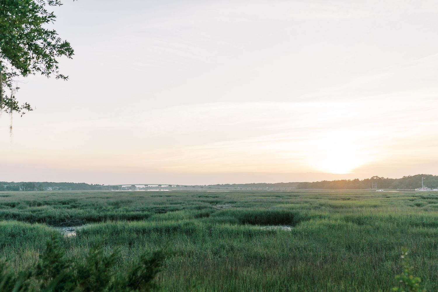 A serene coastal marsh landscape at sunset with tall grass and soft pink sky.