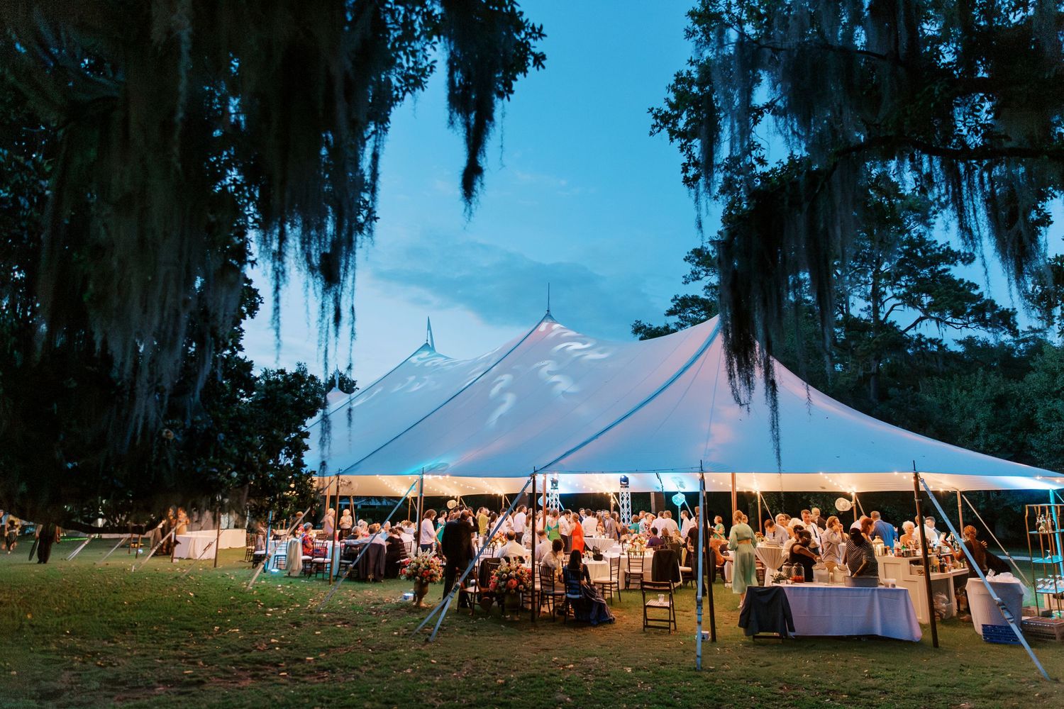 Large wedding reception tent with hanging lights and Spanish moss draped trees at twilight.