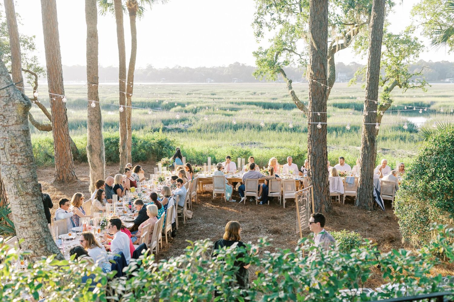 Aerial view of outdoor wedding reception with guests dining under tree canopy.