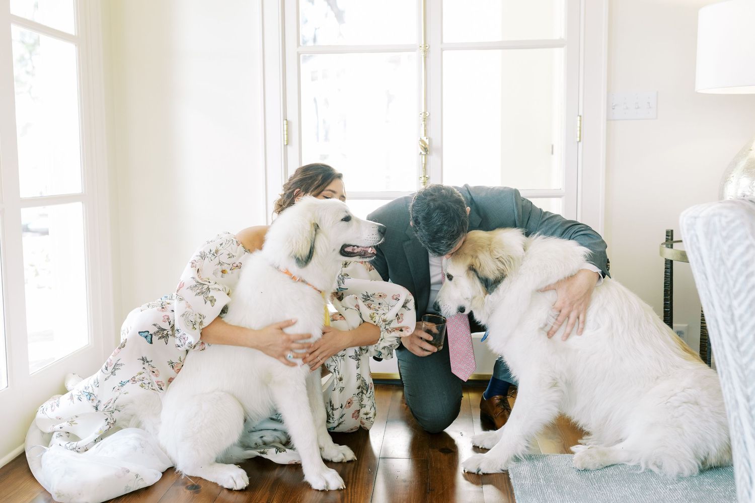 A series of soft white portraits showing intimate moments with a dog on hardwood floors.