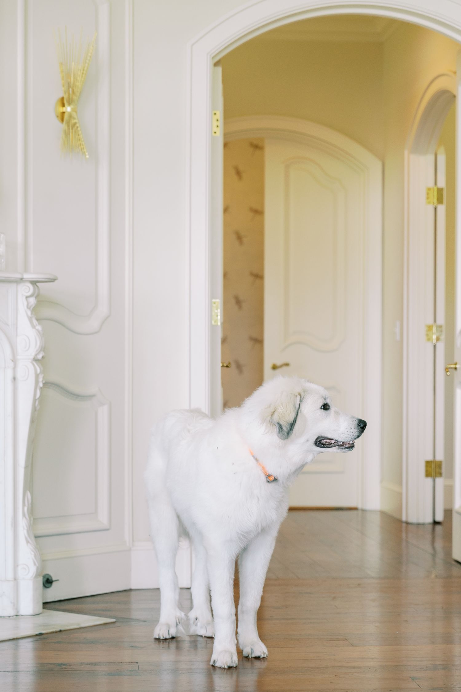 White hallway interior with classic architectural details and decorative white elements against pale yellow walls.