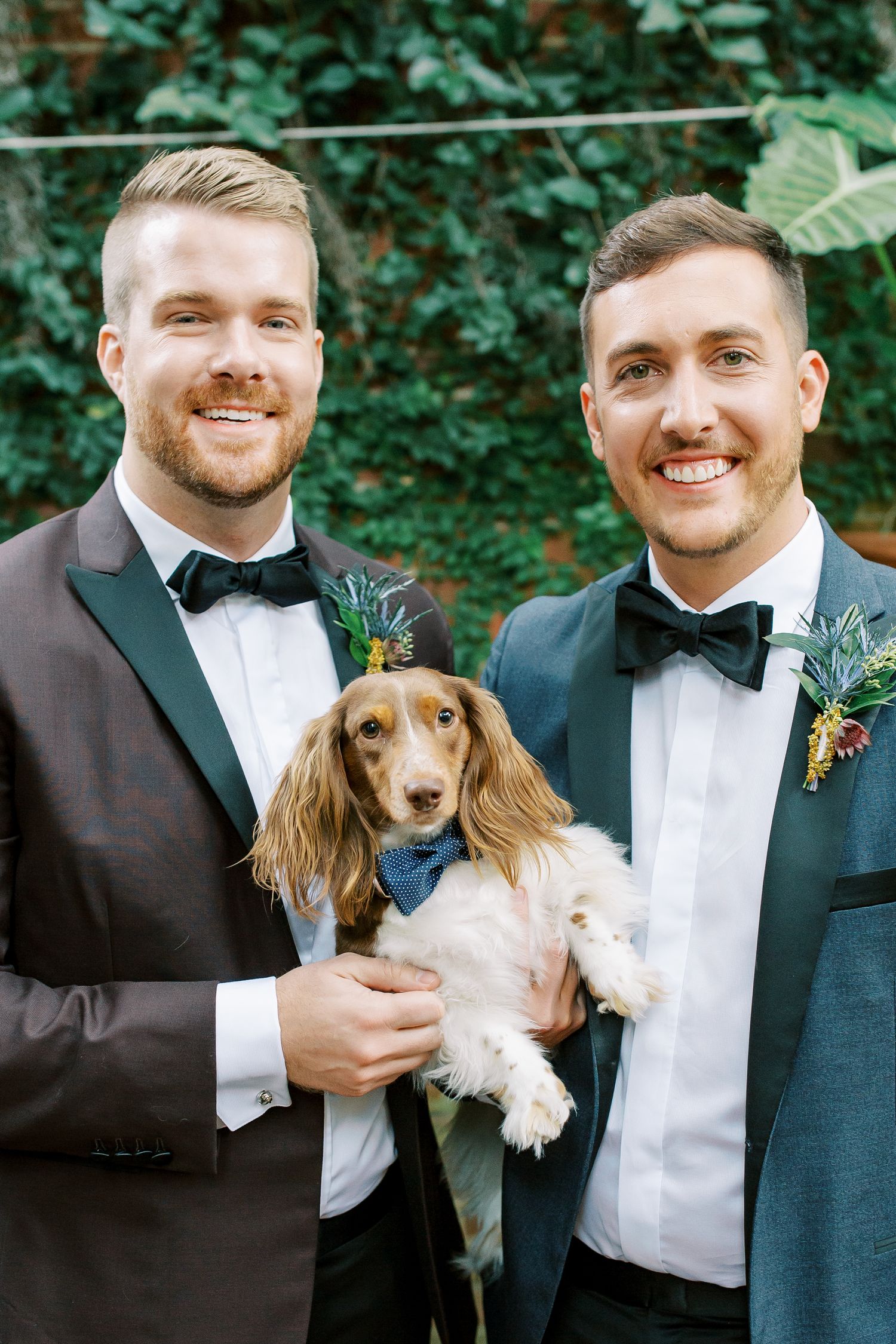 Two grooms in matching tuxedos stand together holding a long-haired dachshund wearing a blue bowtie.