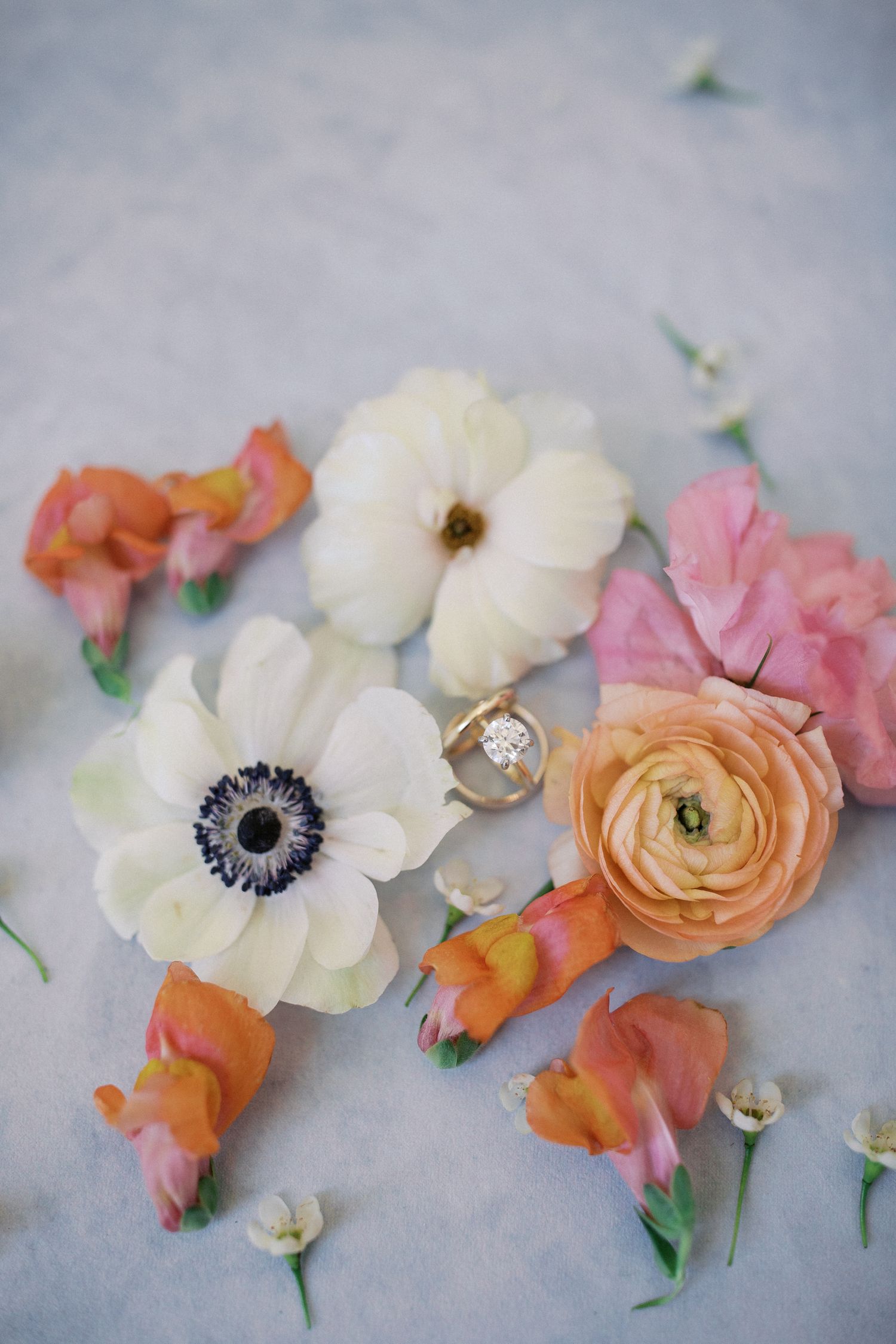 Delicate pink, peach and white anemone and ranunculus flowers arranged in a soft, romantic composition on a gray background.