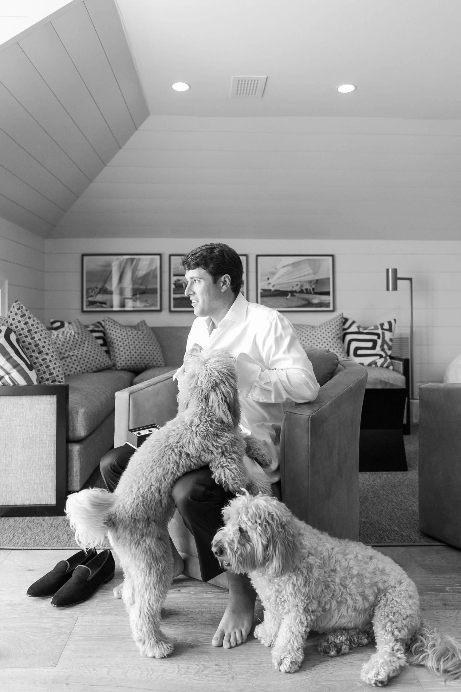 Black and white photo of two fluffy dogs playing with someone in a modern living room.