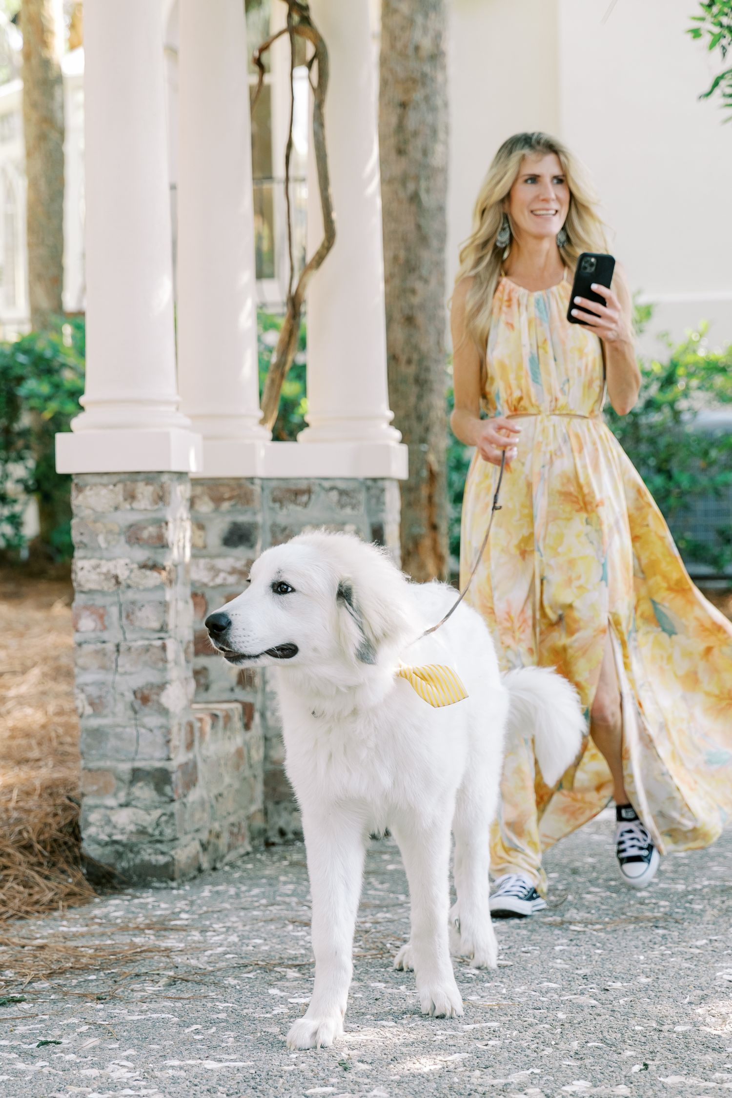 A beautiful white Great Pyrenees dog poses alongside a yellow dress on a stone walkway.