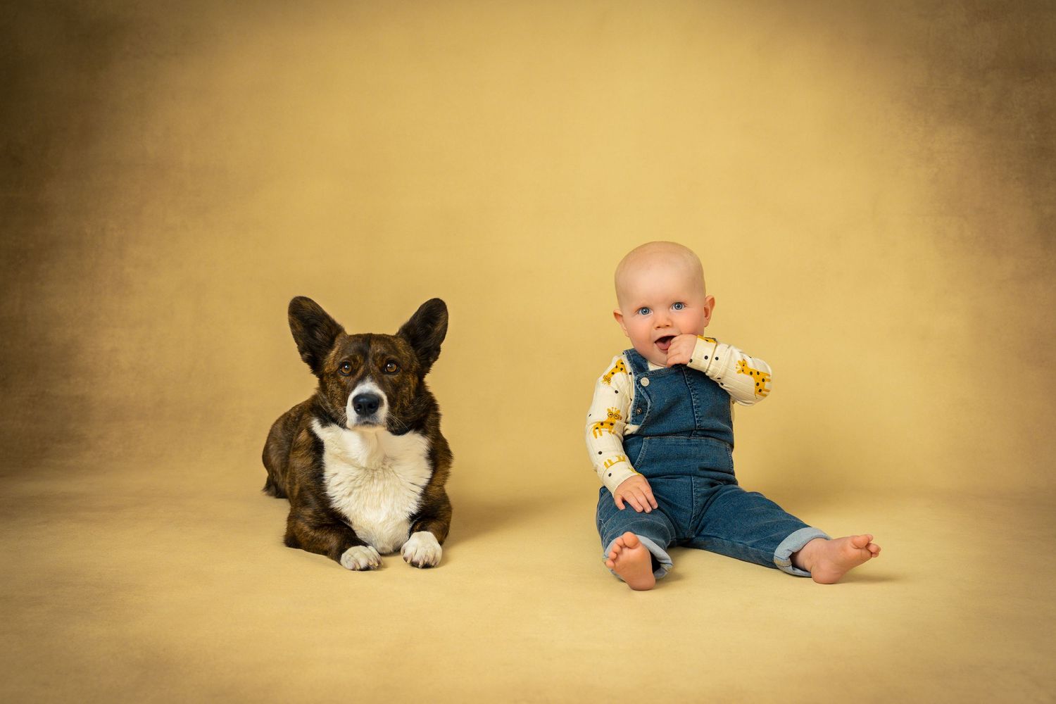 Barnfotografering Göteborg – 1 åring sitter tillsammans med hund på golvet.