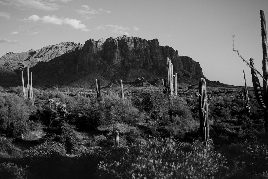 Black and white desert landscape featuring saguaro cacti and rugged mountain range under cloudy sky.