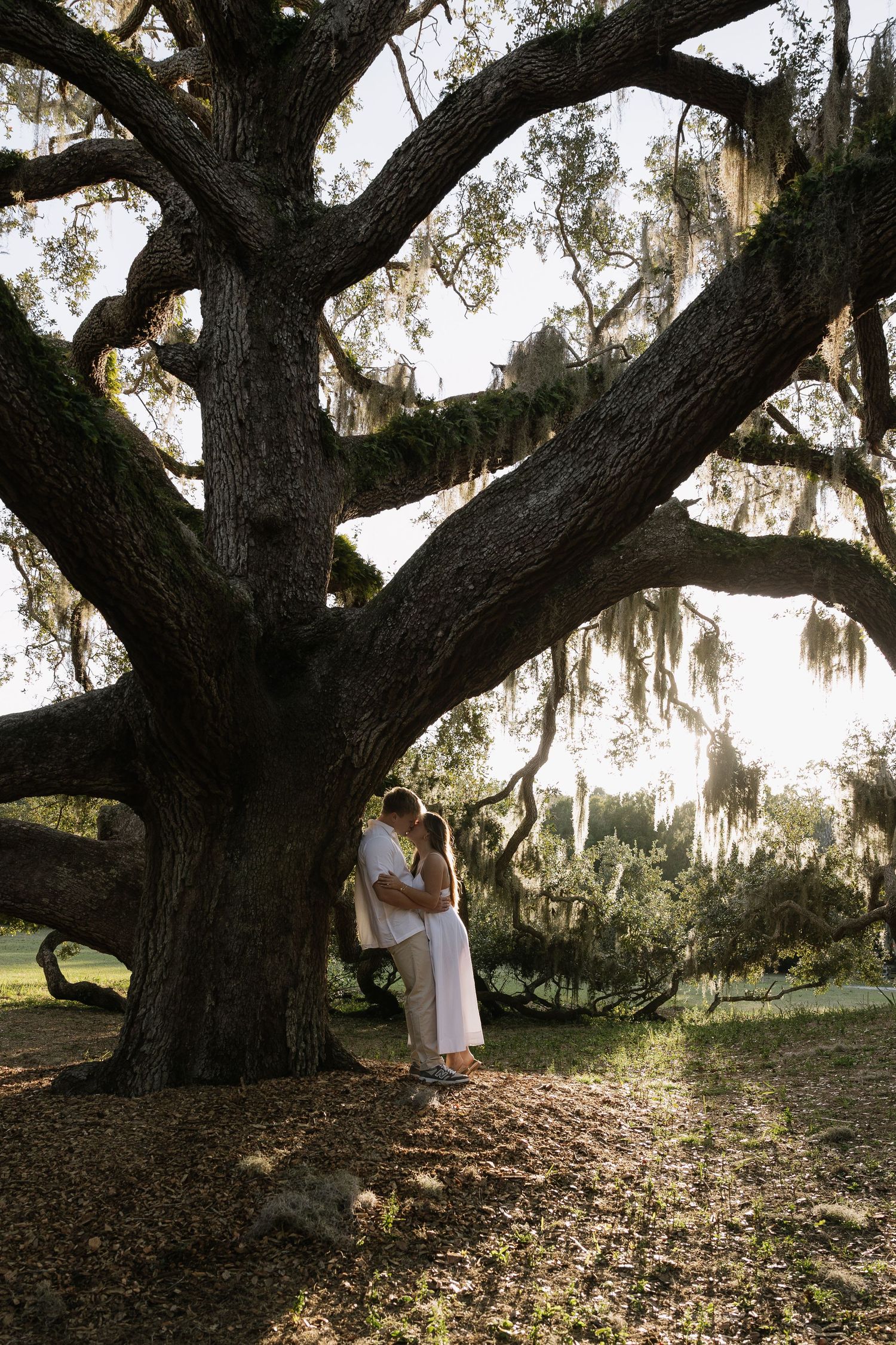 An engaged couple is posing by a tree at Philippe Park for their 