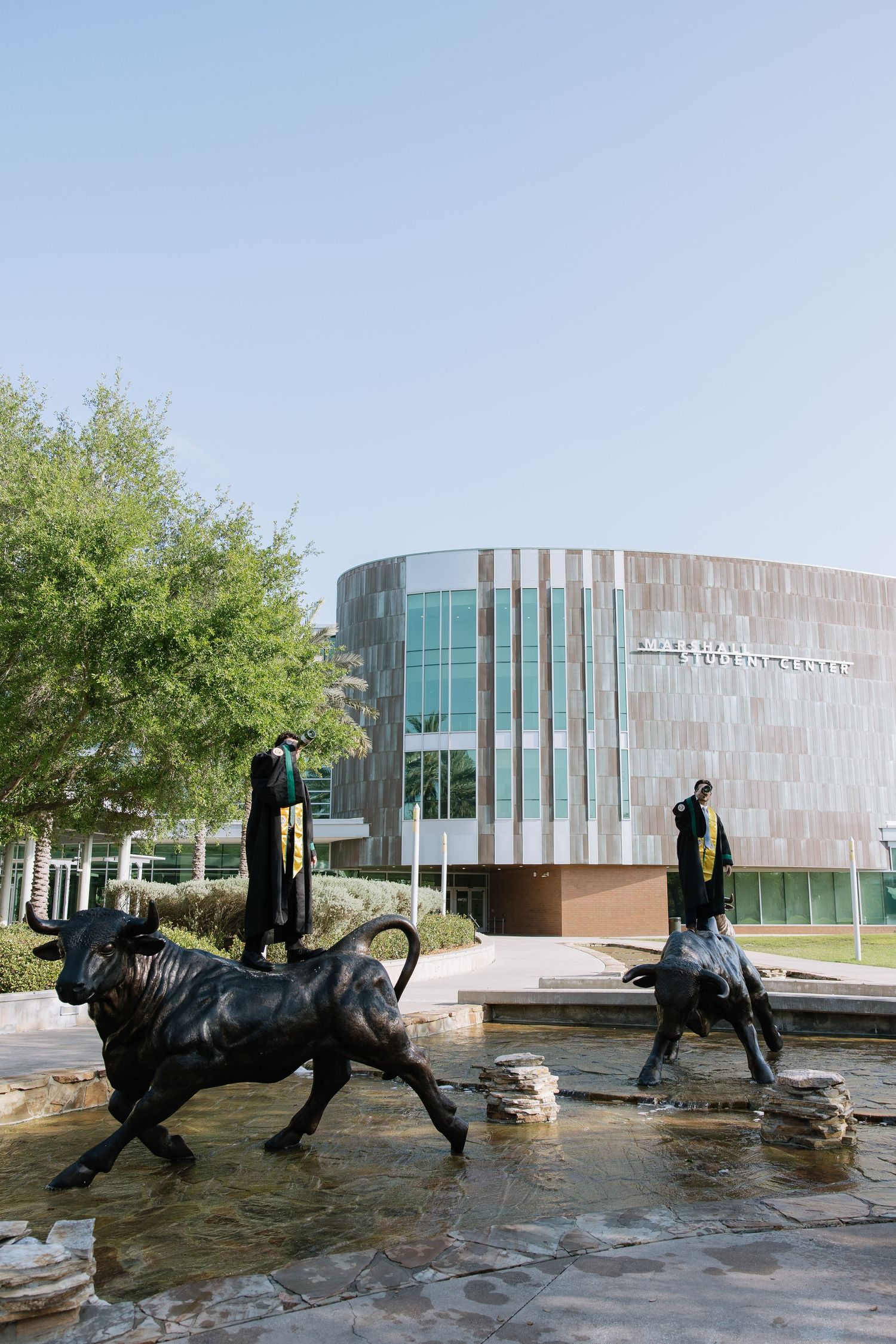 USF grad stands on the bull for his graduation photos taken by Michaela Gom Photography.