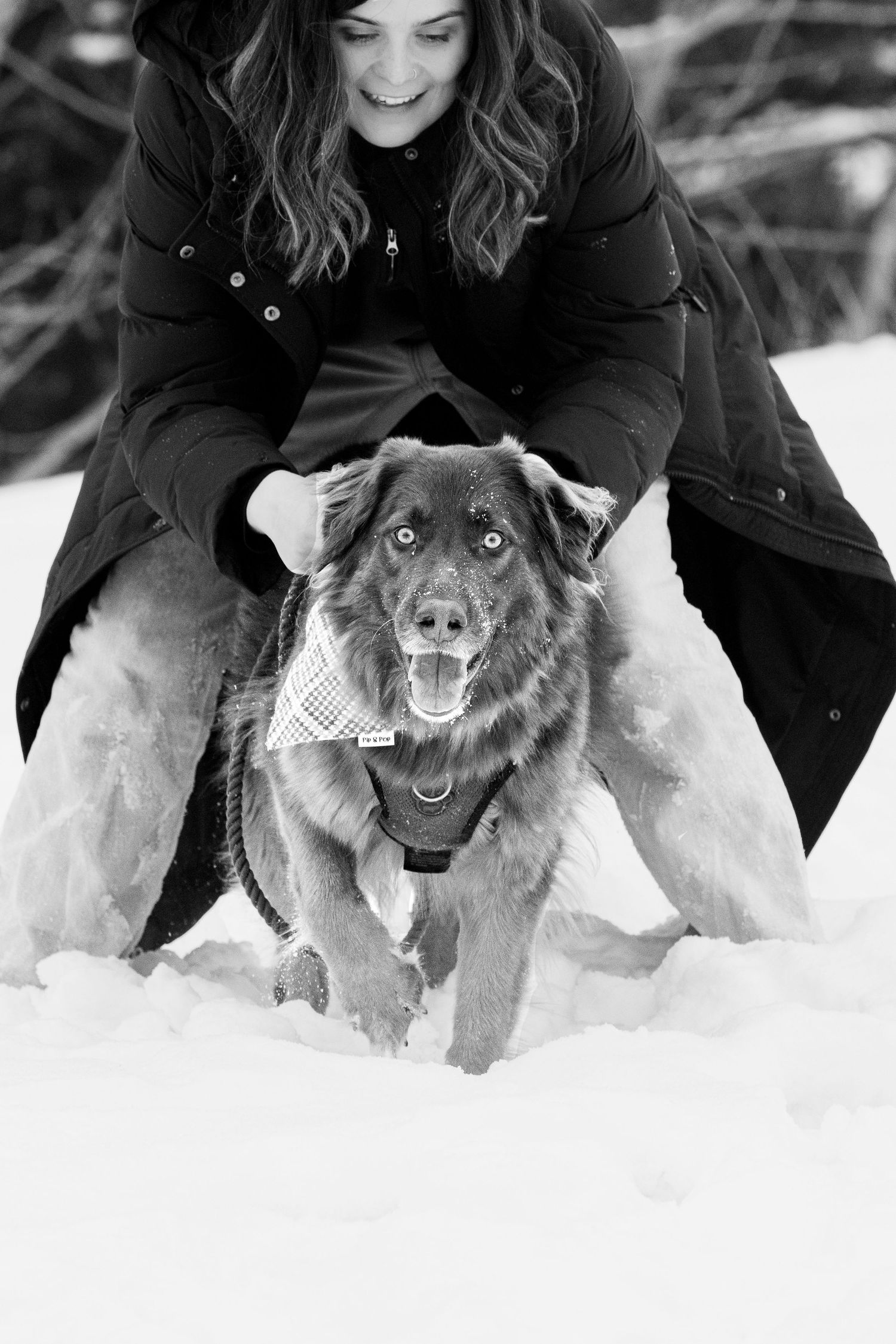 A happy mixed-breed dog runs through deep snow while being petted by someone wearing a black winter coat.